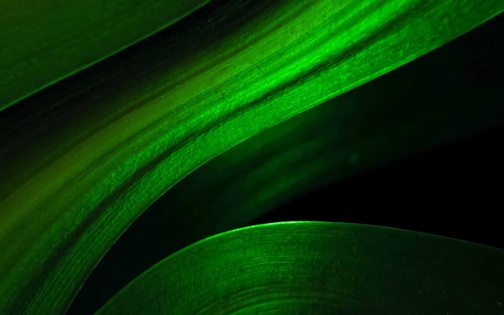 A close up of a green leaf with a black background