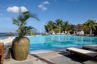 A large swimming pool with lounge chairs and palm trees