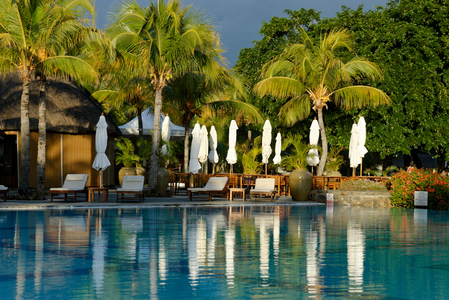 Pool with palm trees