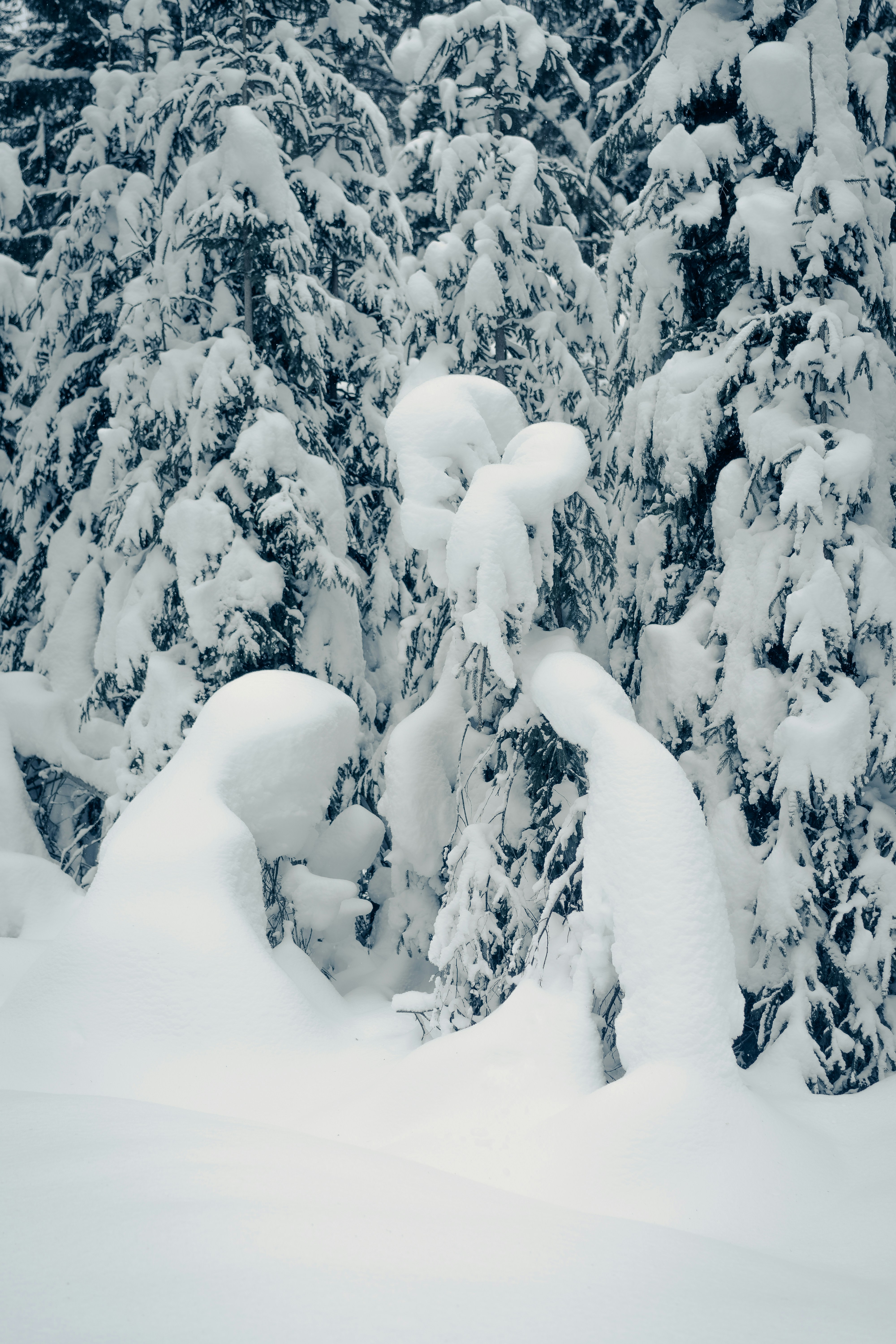 A snowboarder is going down a snowy hill