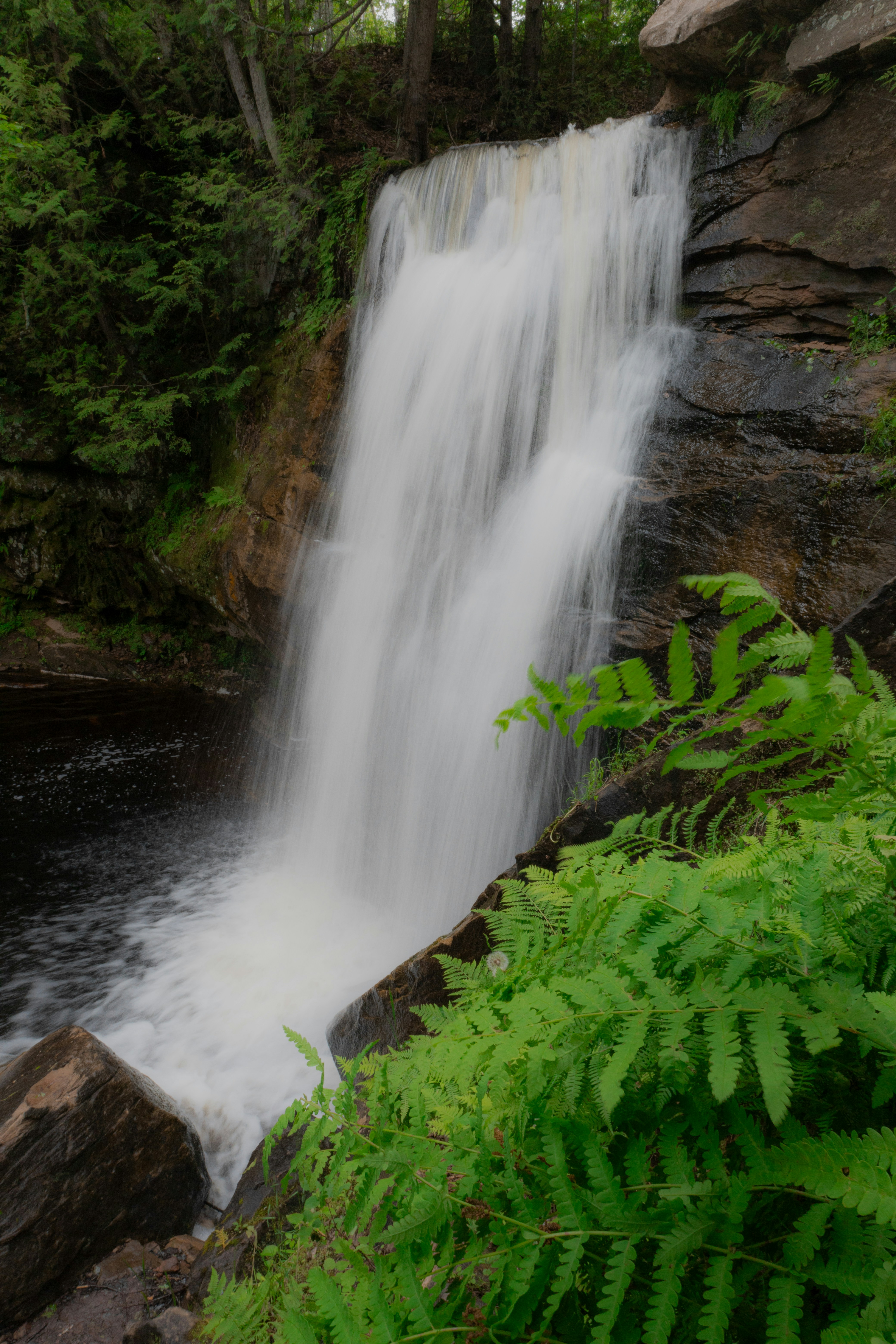 Photo by themcclellanjacobcody