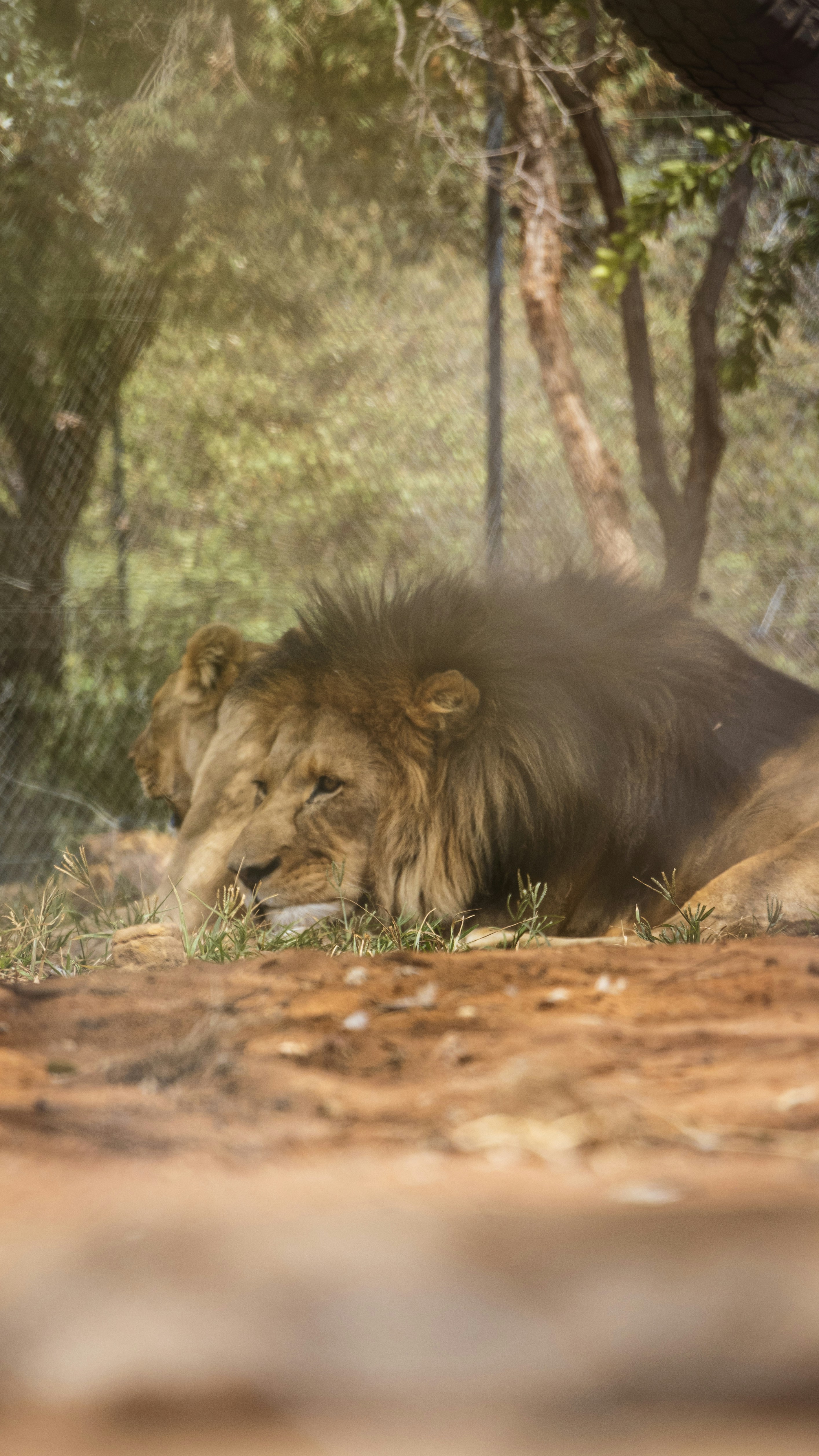 Photo by s_arshia_nzm