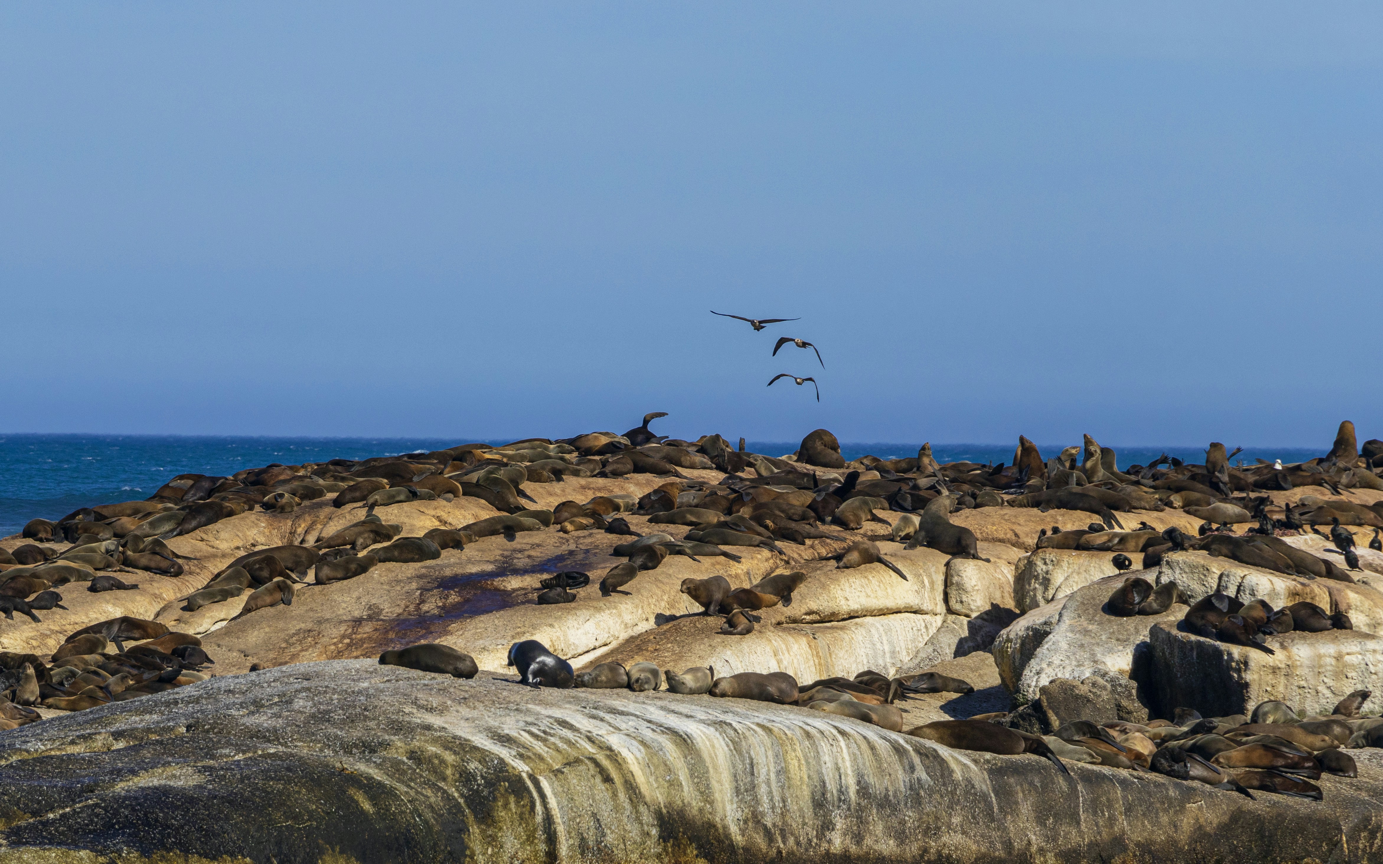 Photo by s_arshia_nzm