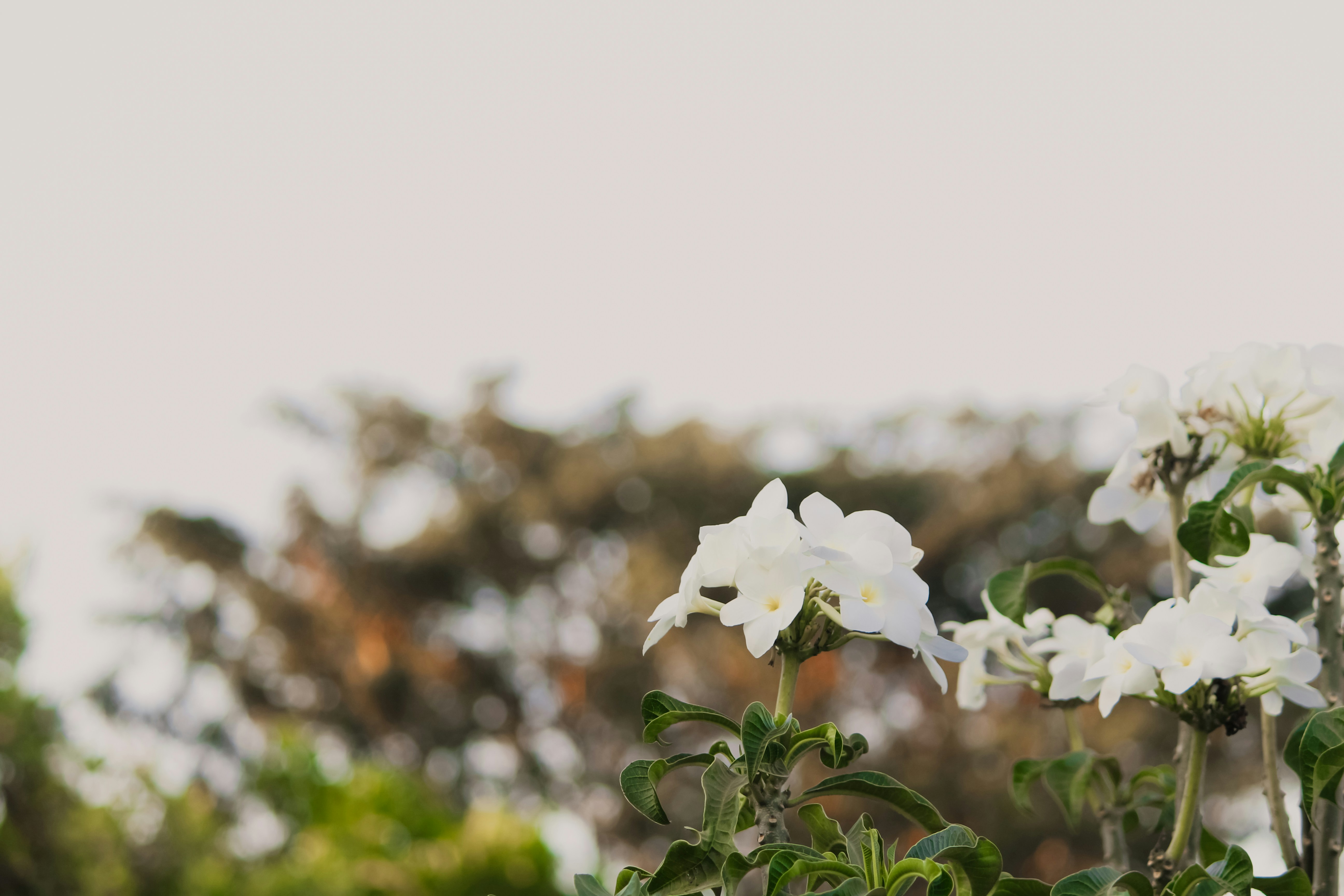 Photo by mayank_photography