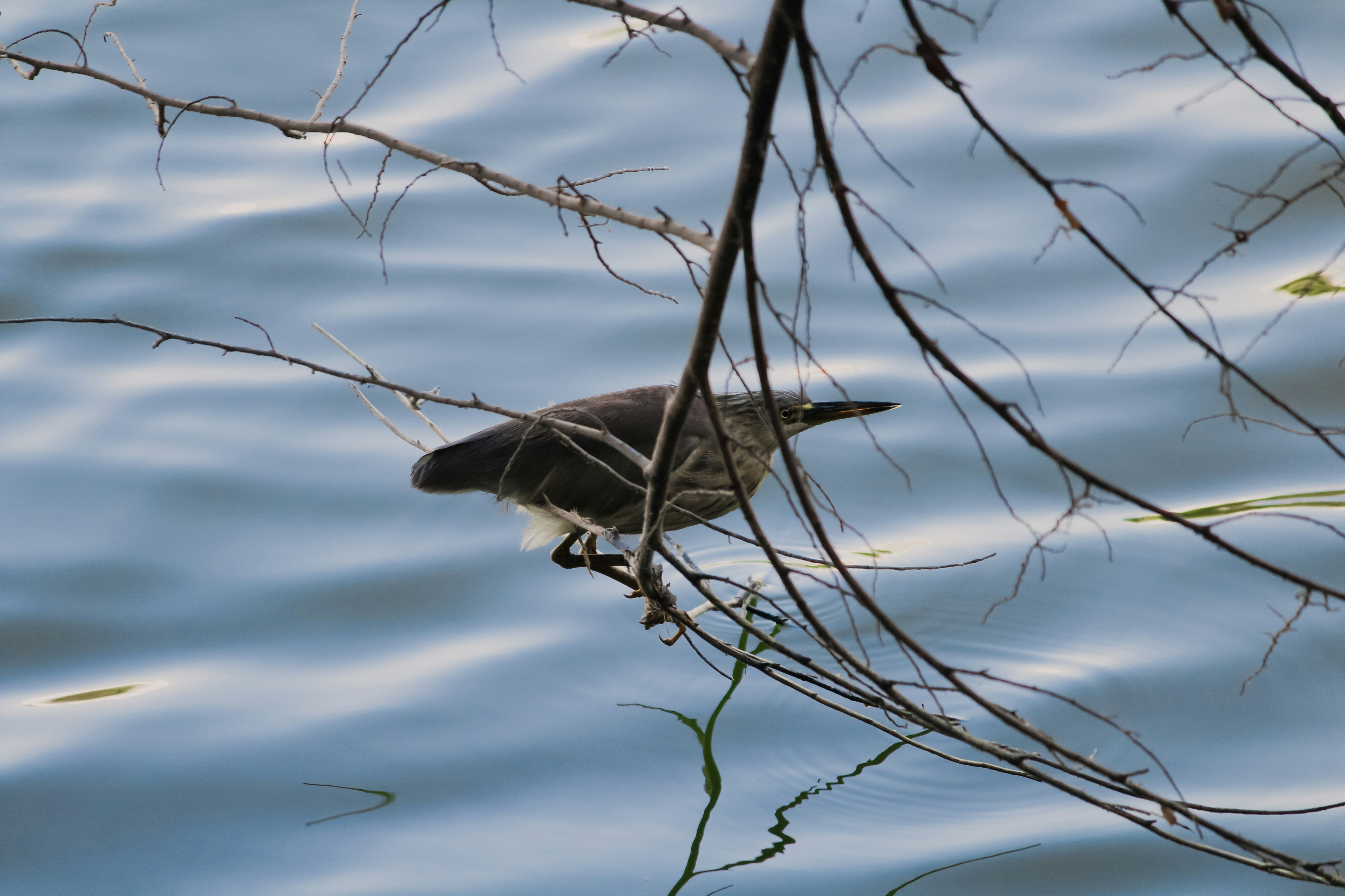 Photo by mayank_photography