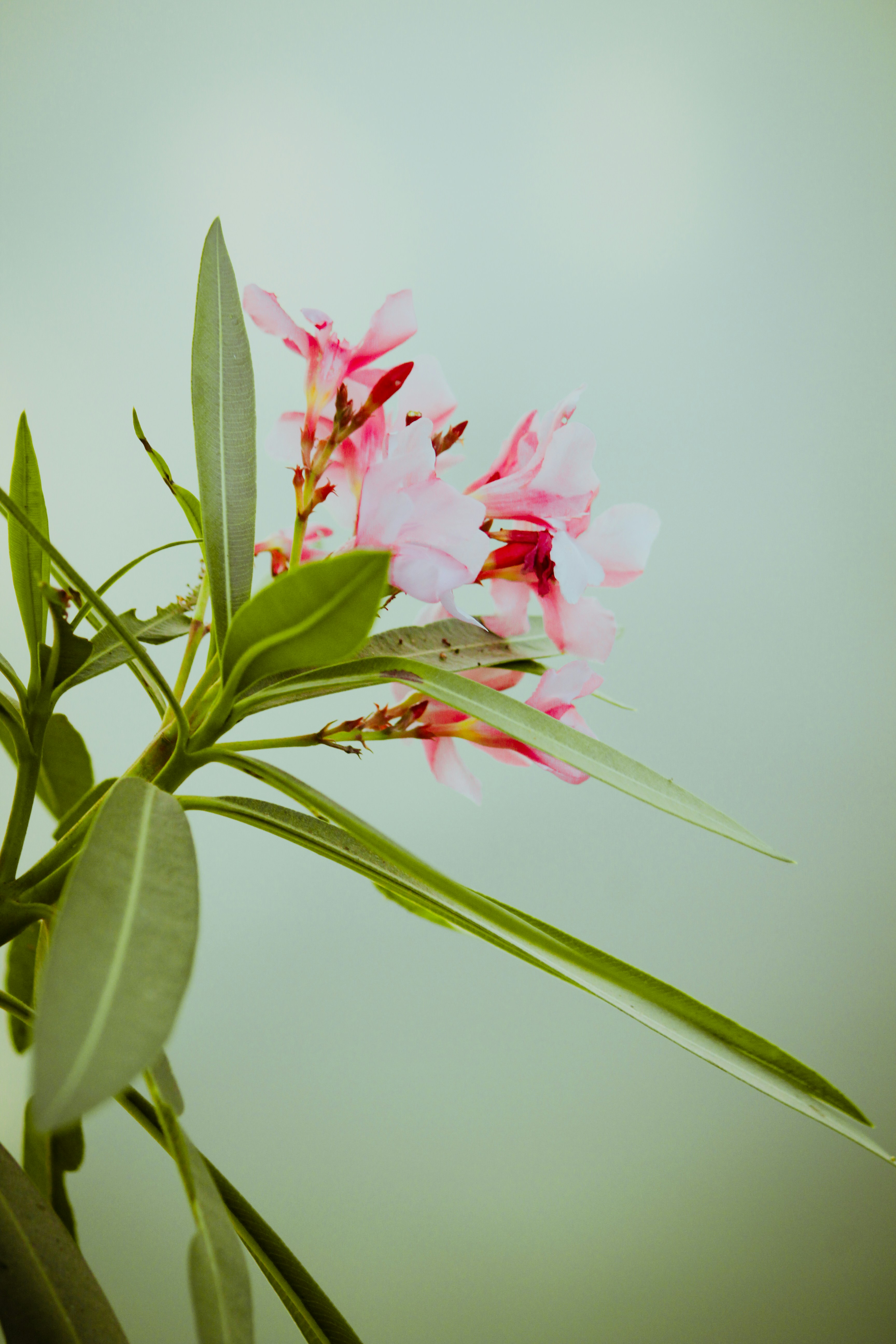 Photo by mayank_photography