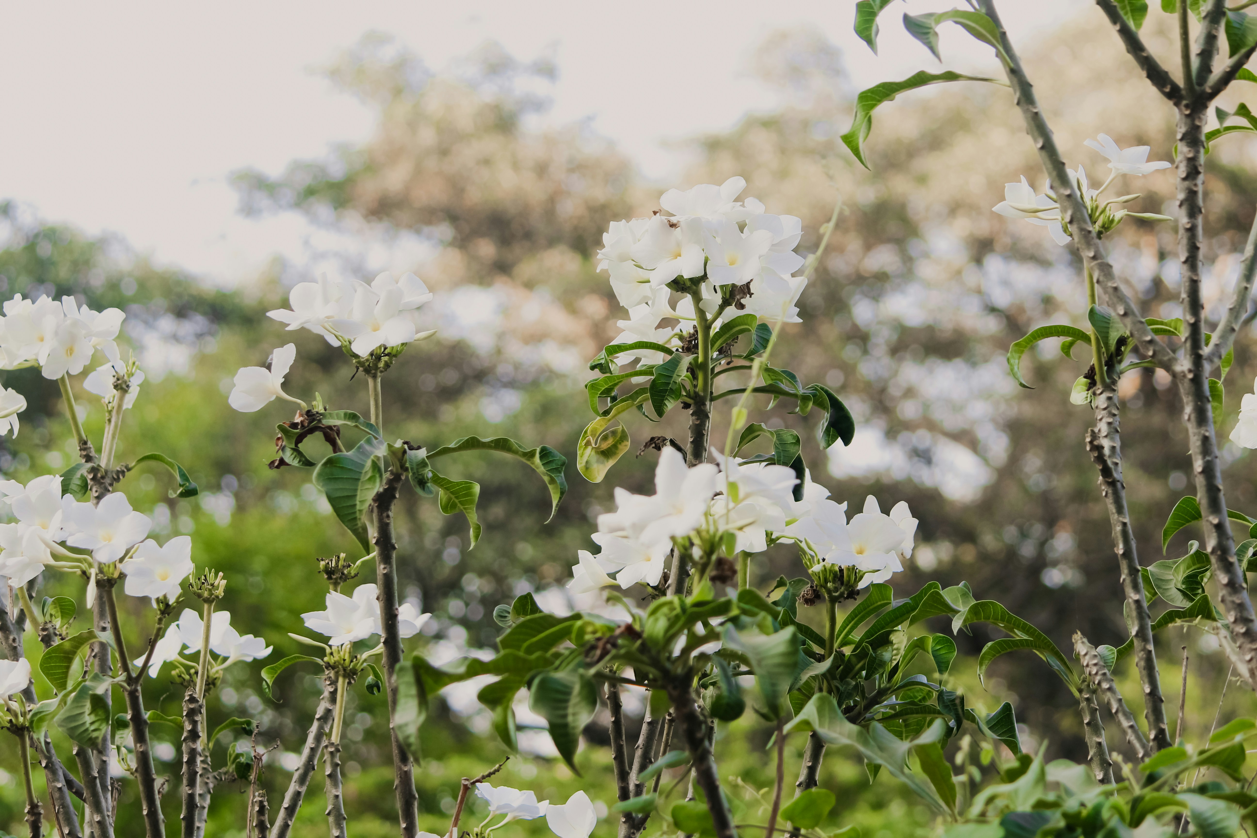 Photo by mayank_photography