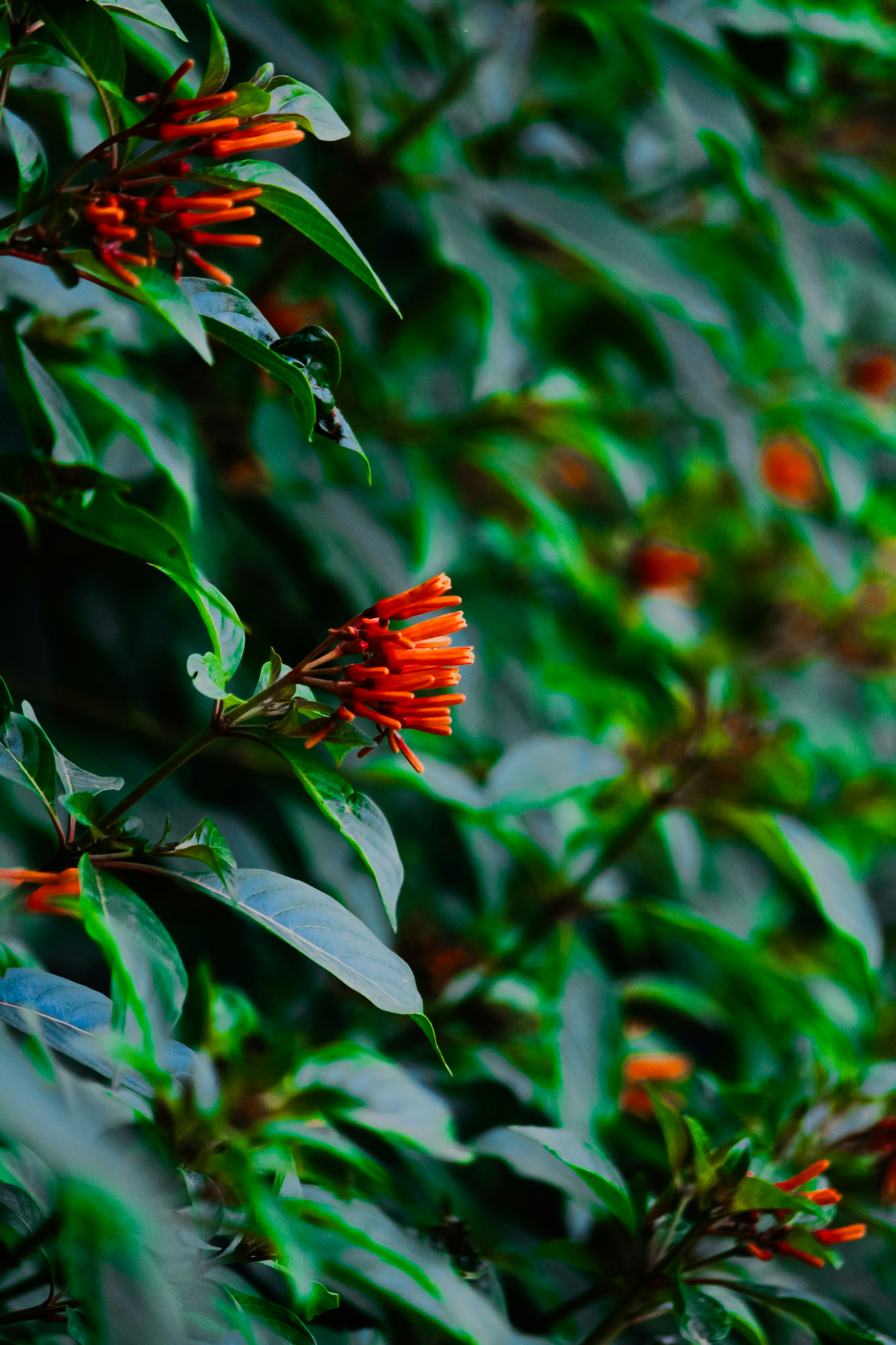 Photo by mayank_photography