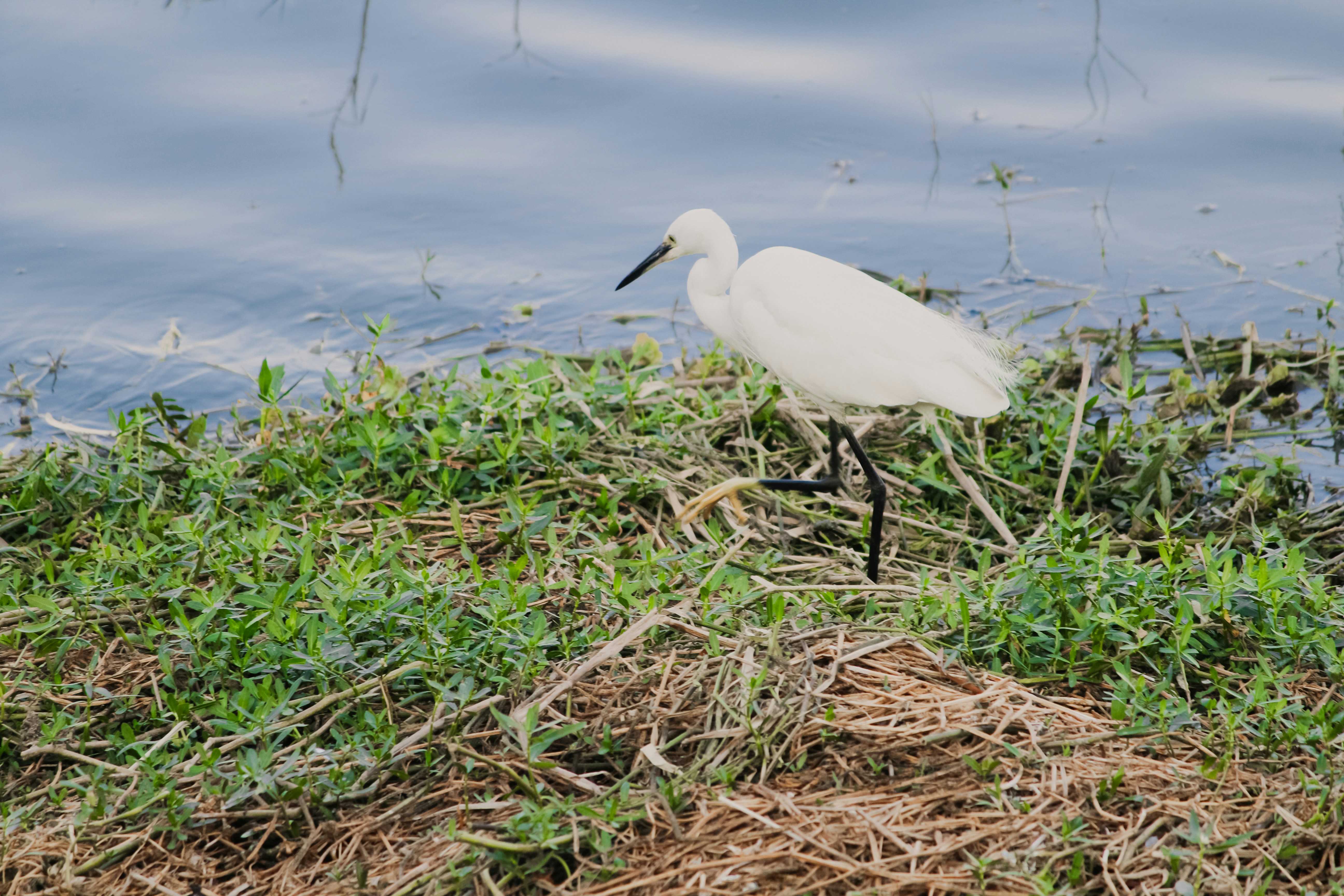 Photo by mayank_photography