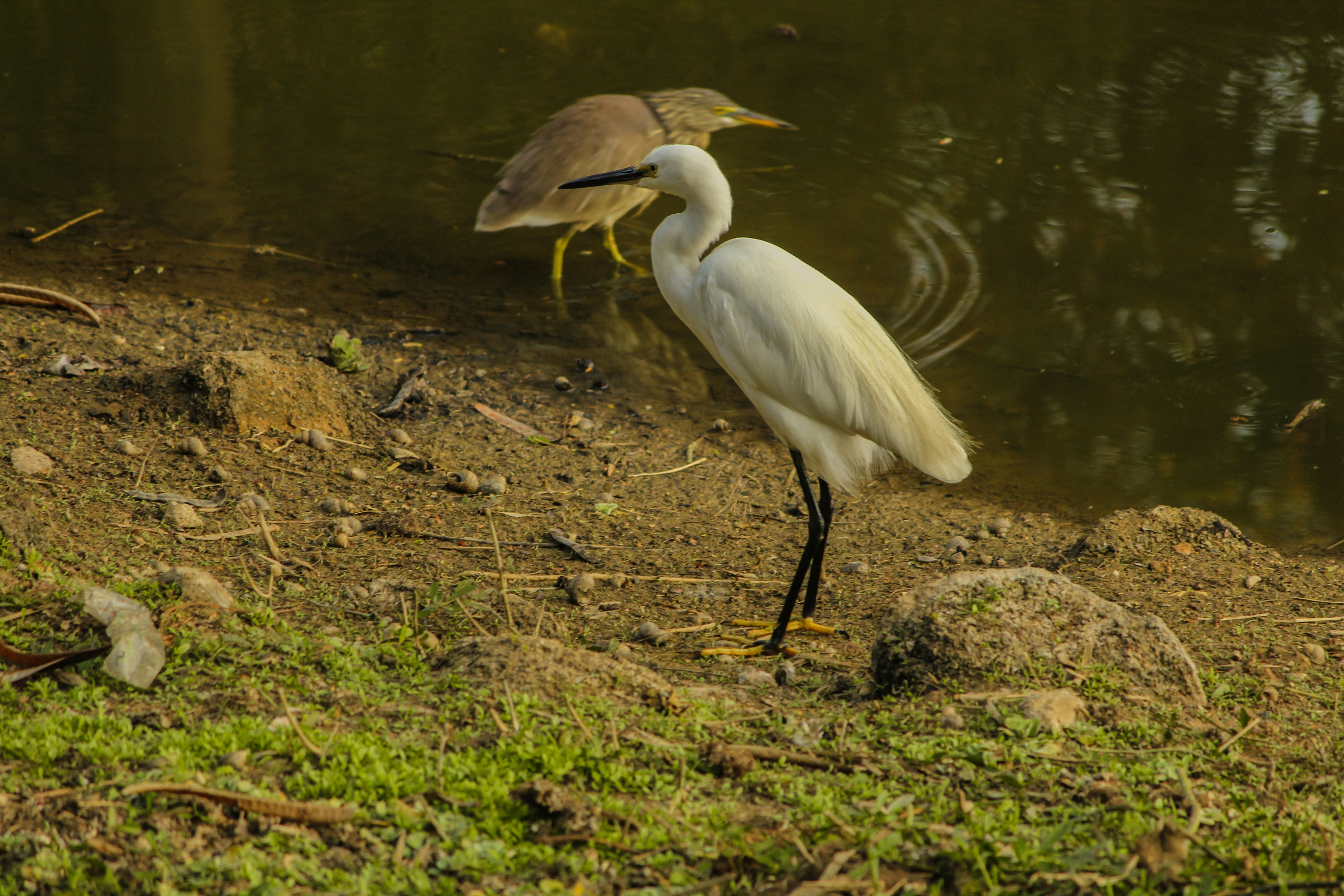 Photo by mayank_photography