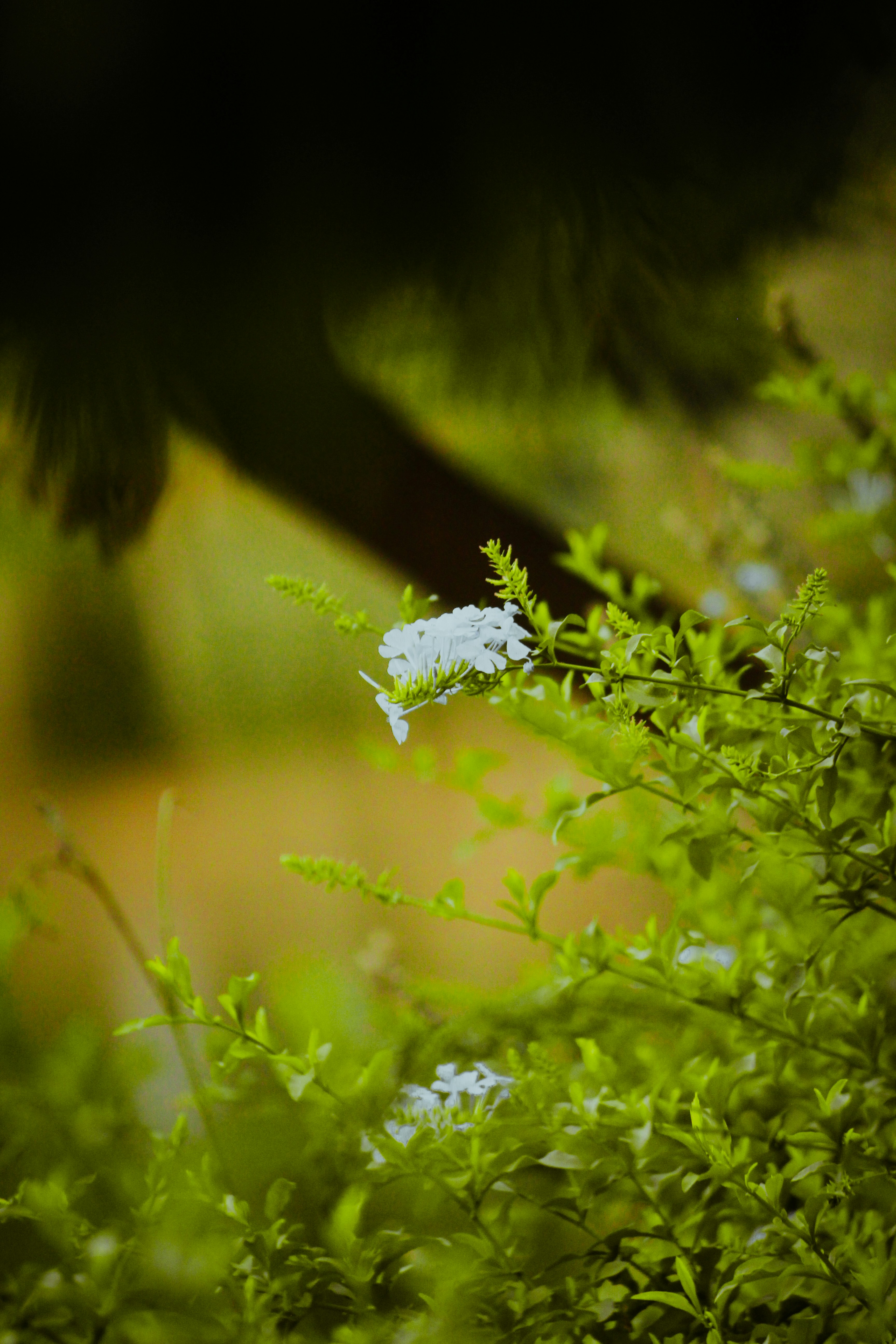 Photo by mayank_photography