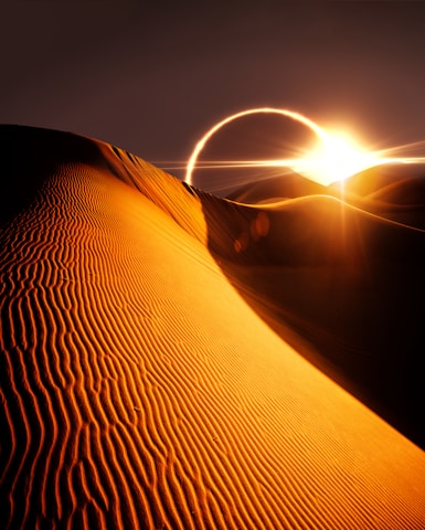The sun is shining over a sand dune