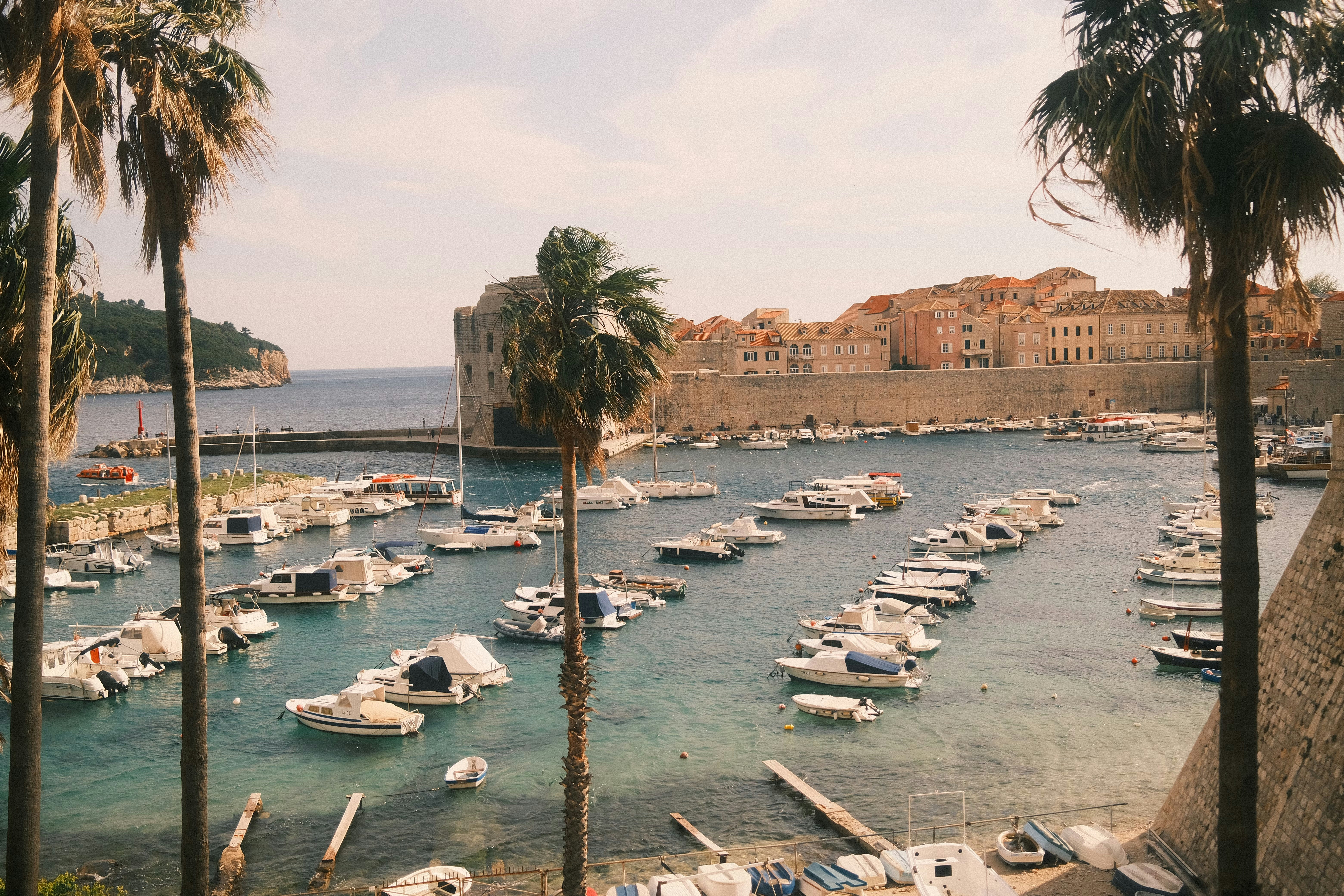 A harbor filled with lots of boats next to palm trees