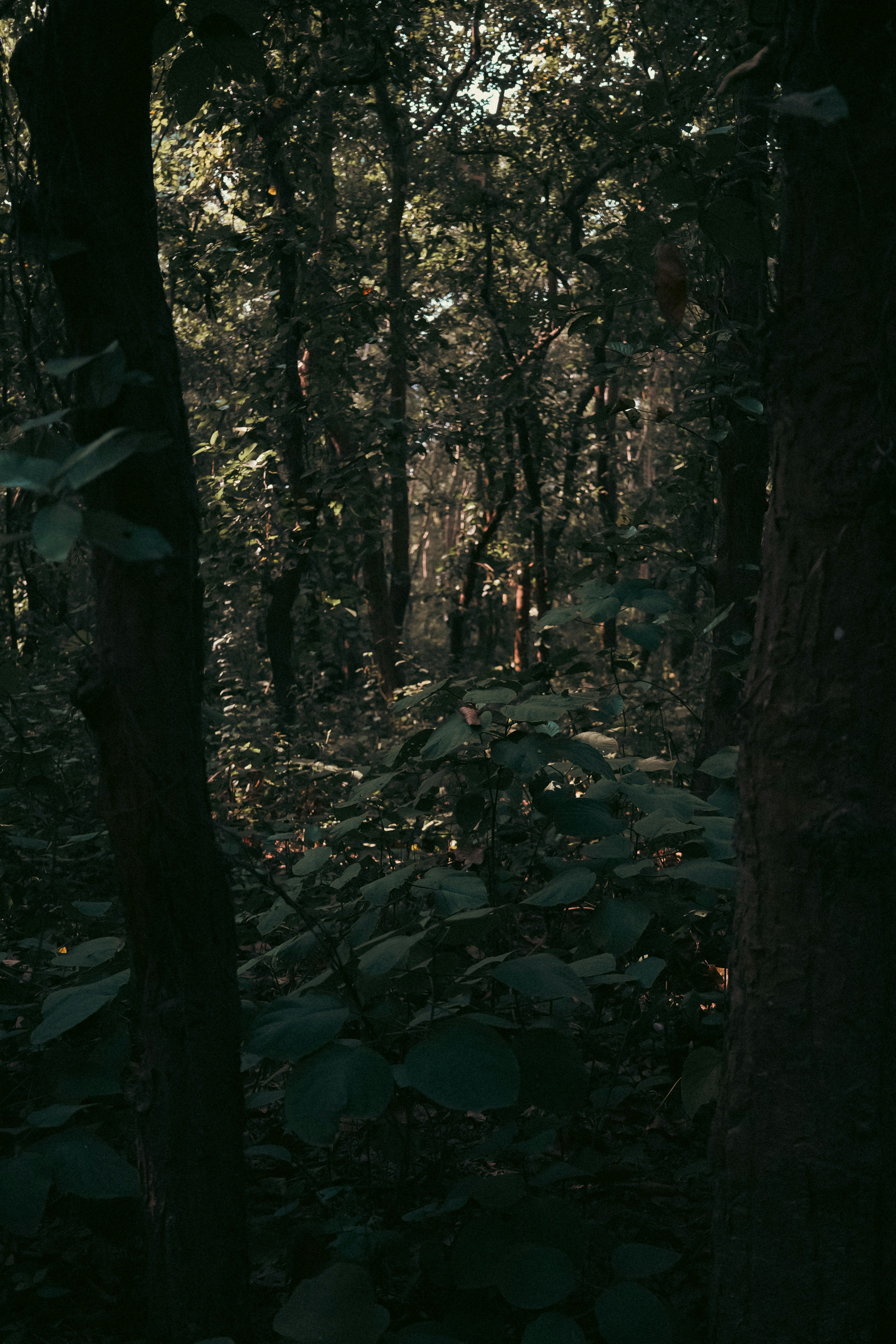 Photo by mohammad_samir