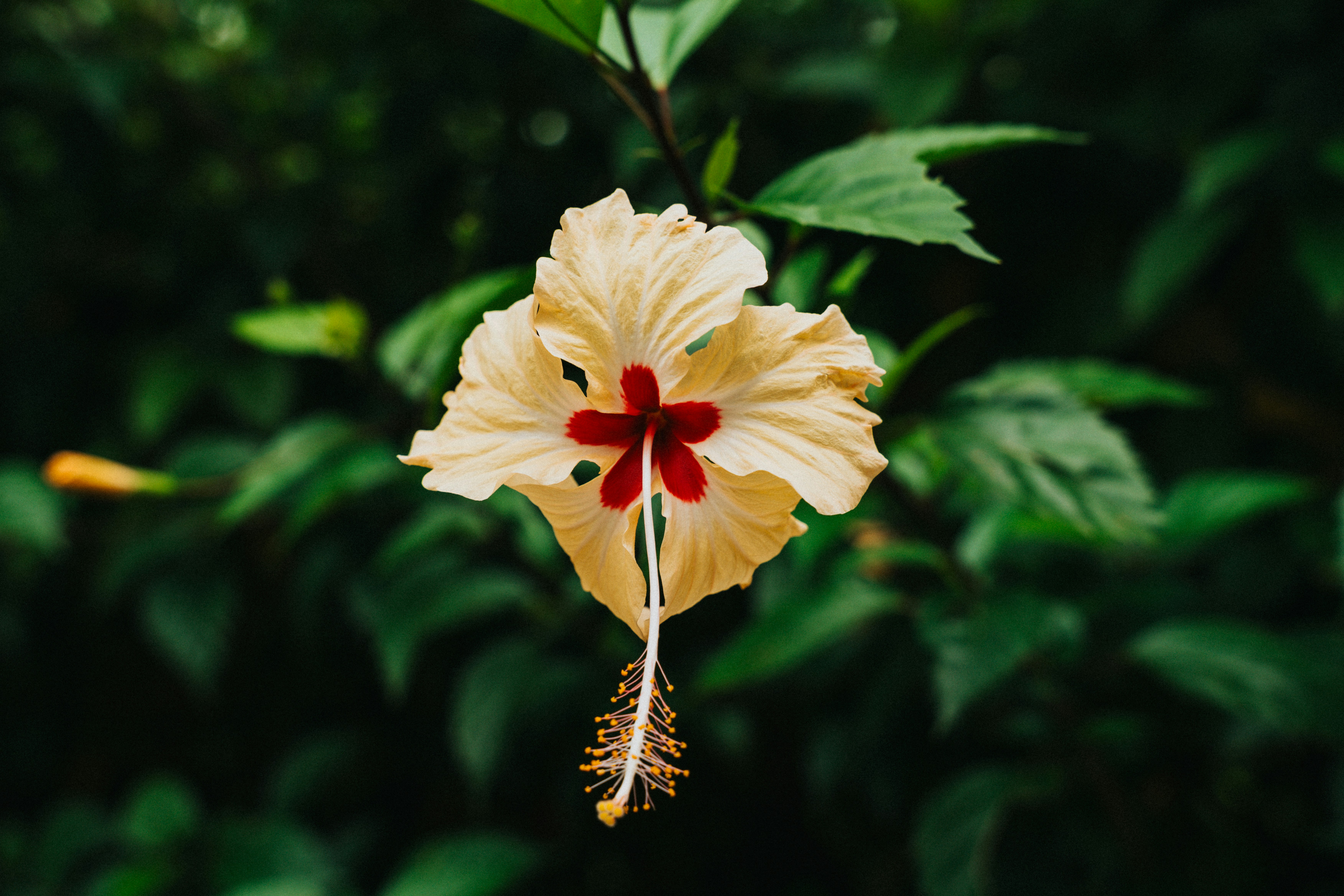 Photo by macytaylorcreative