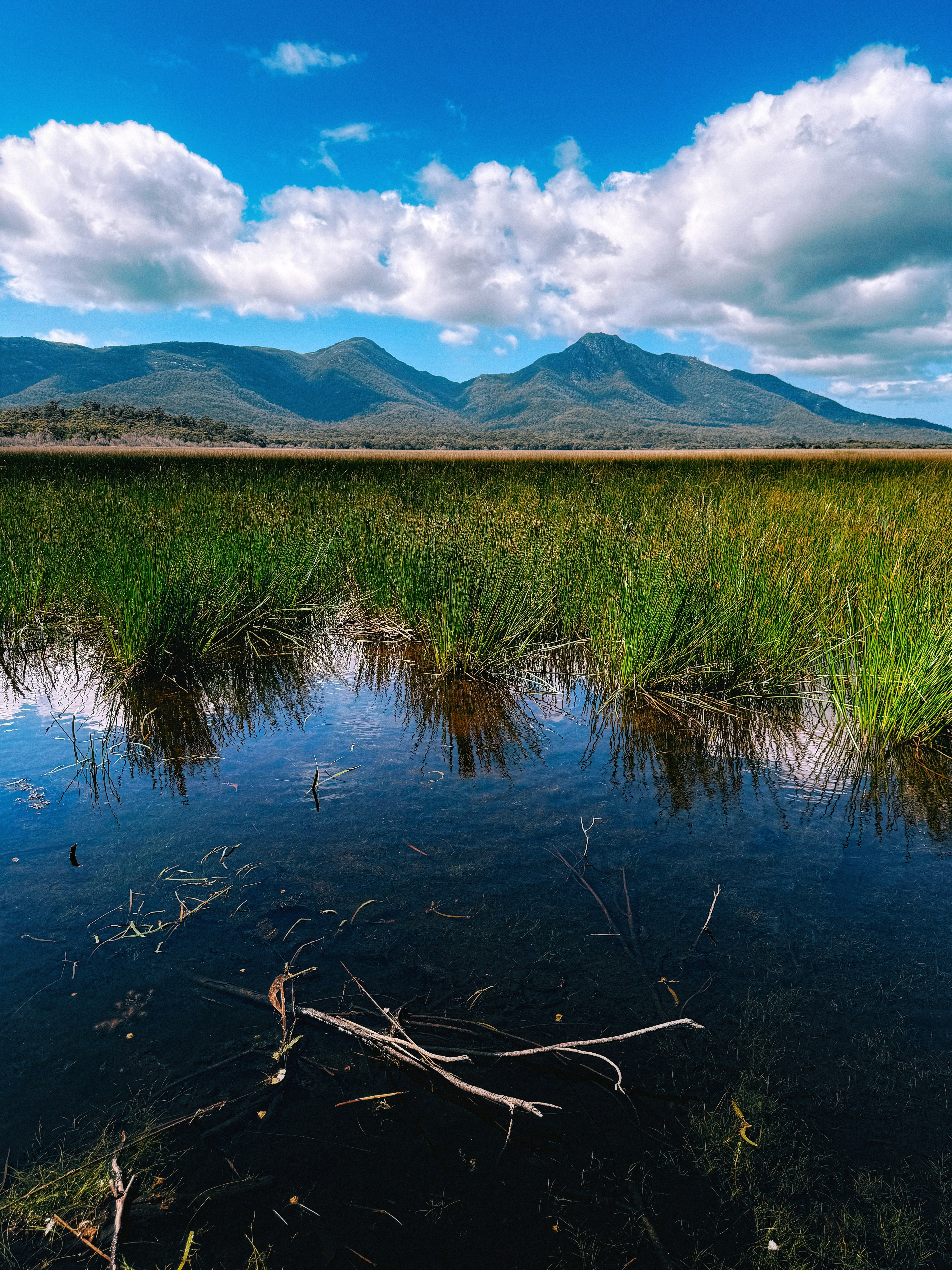 A body of water surrounded by grass and mountains