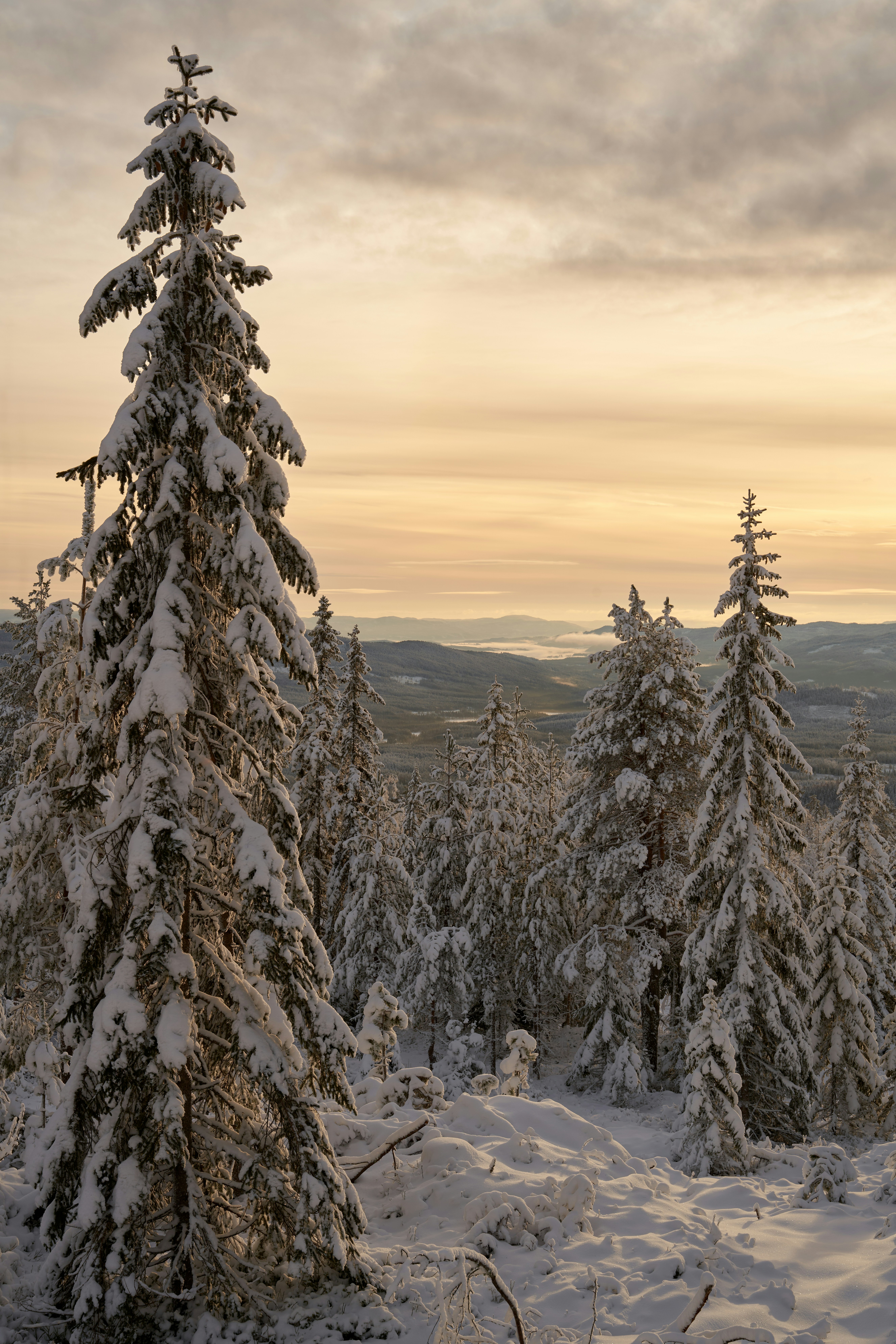 Photo by davotibarna