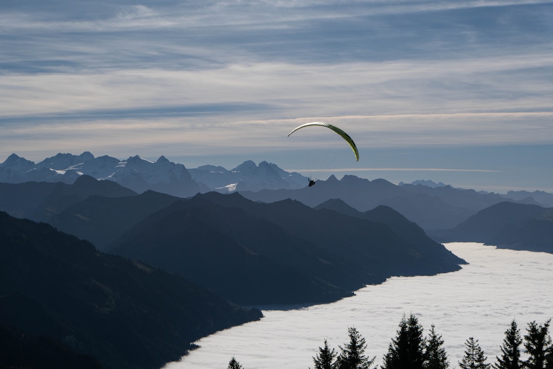 A person flying a kite high in the sky,