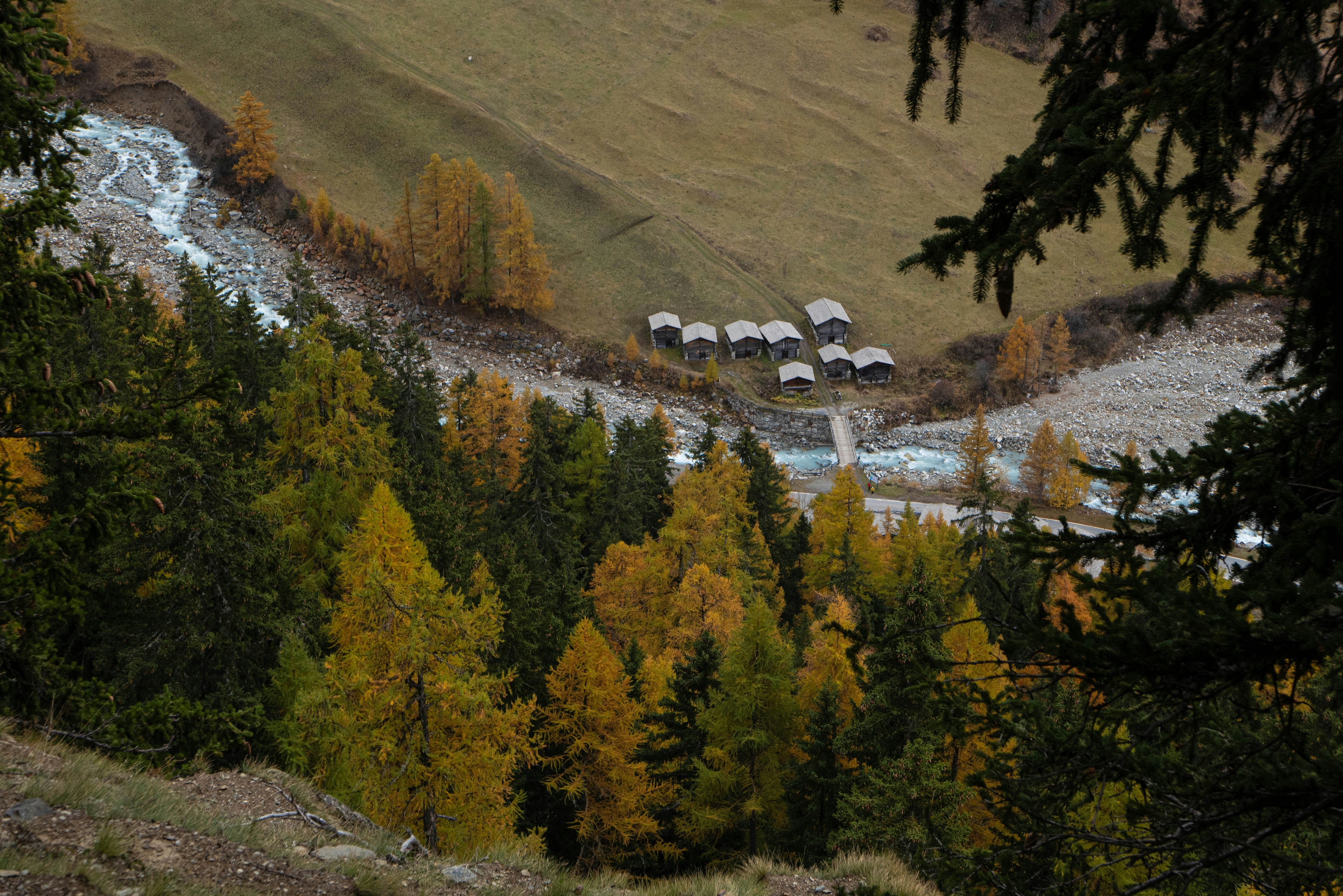 A herd of sheep grazing on top of a lush green hillside