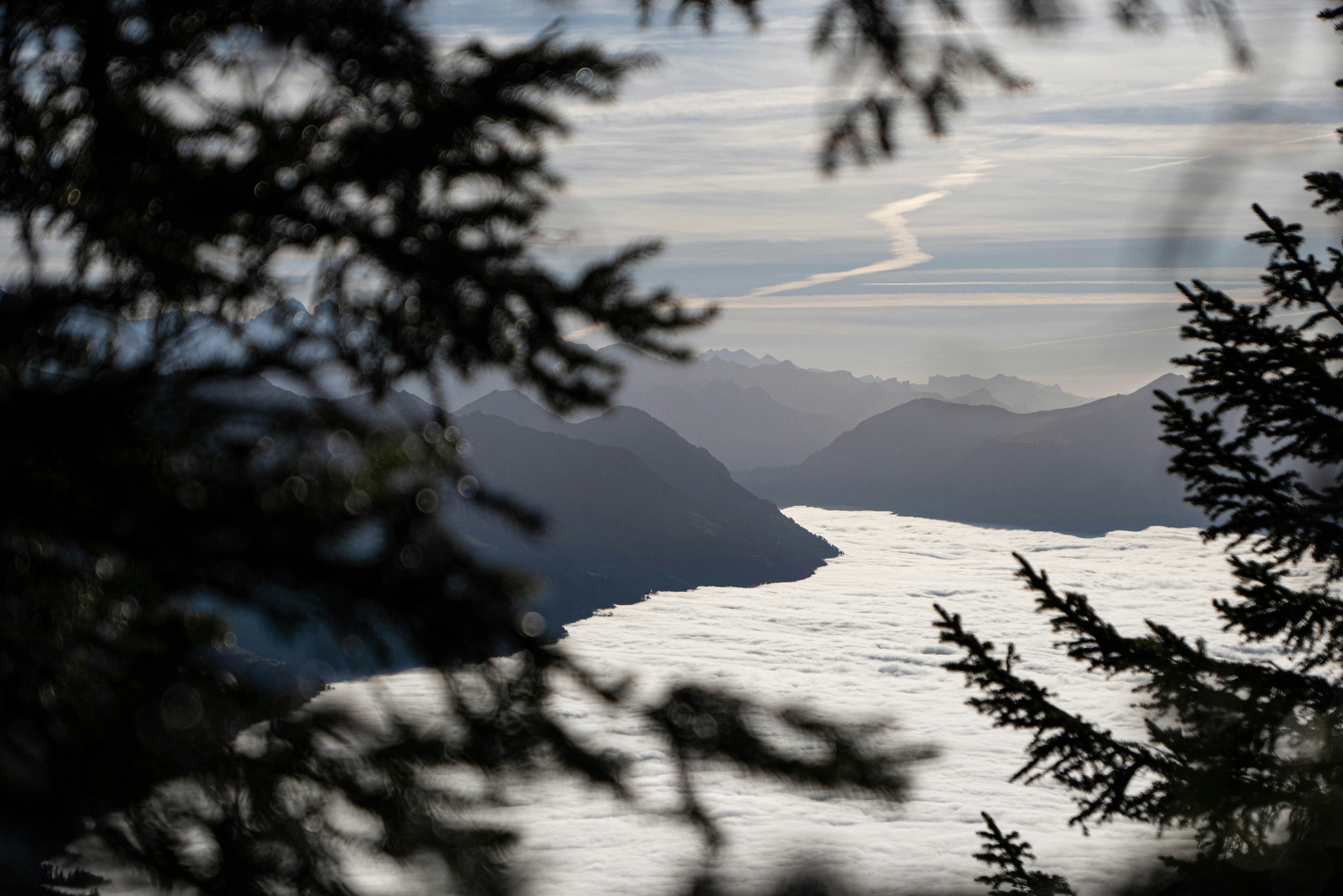 A view of a body of water through some trees