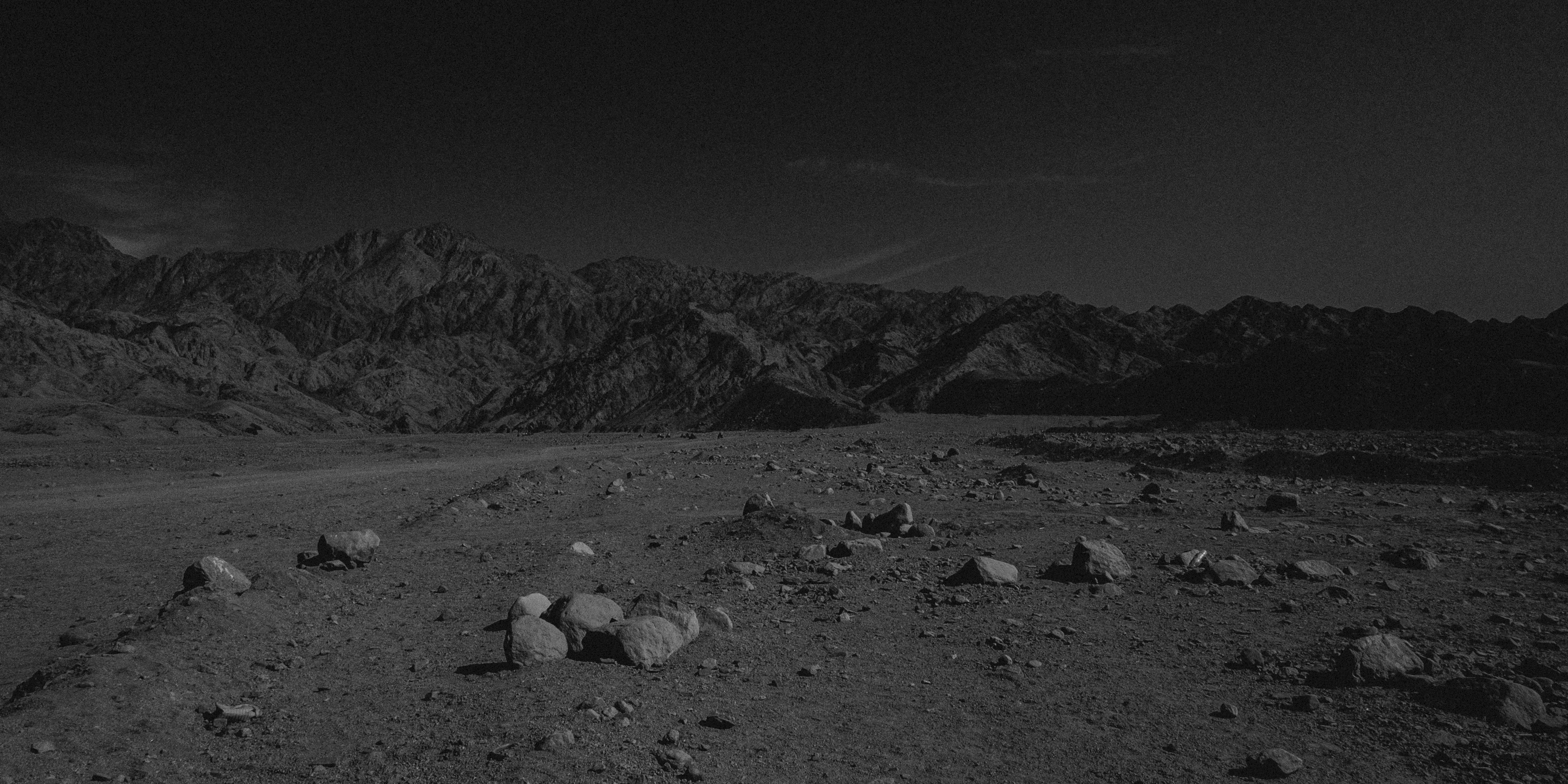 Photo by danilahalorw