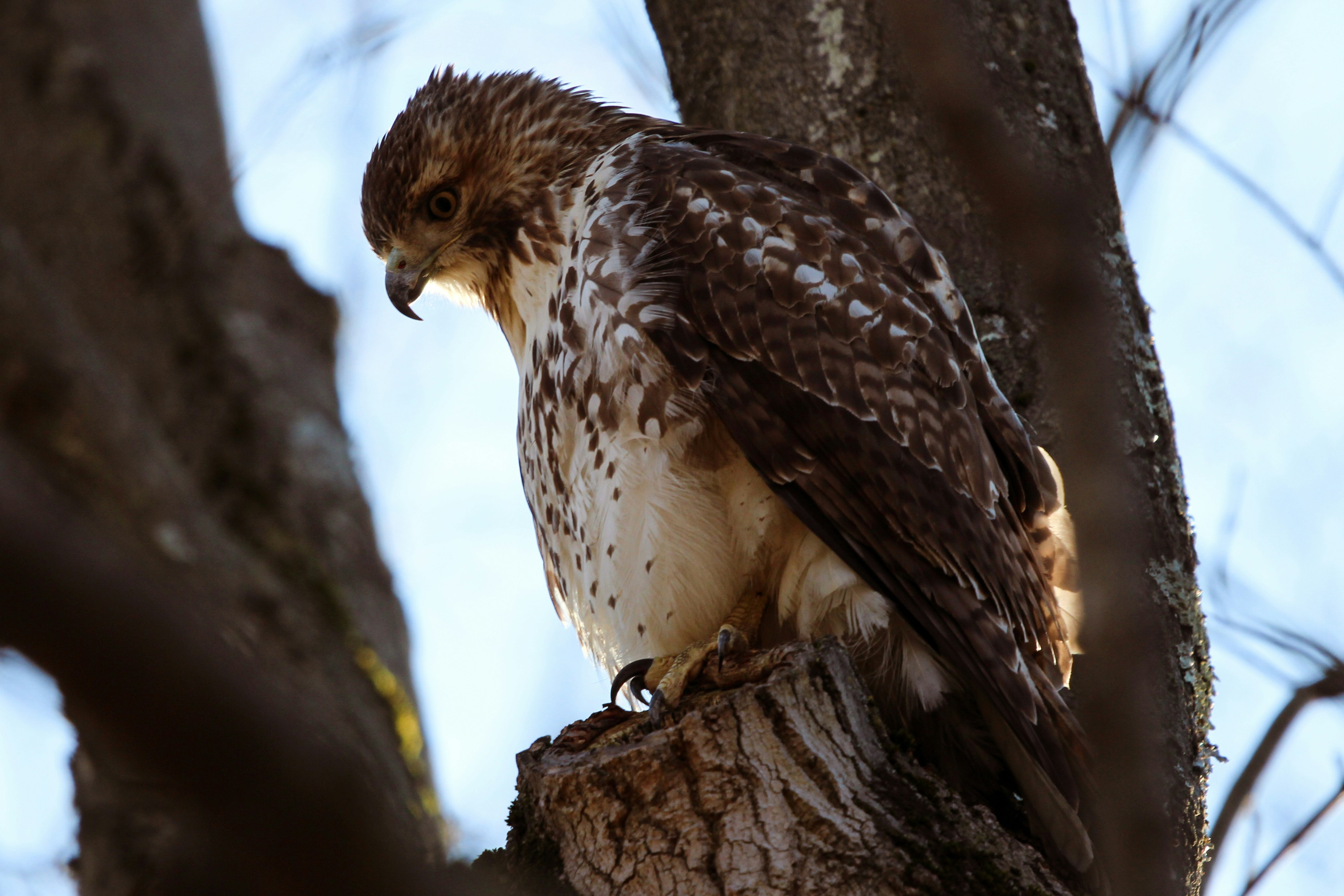 Photo by hasnainsikora