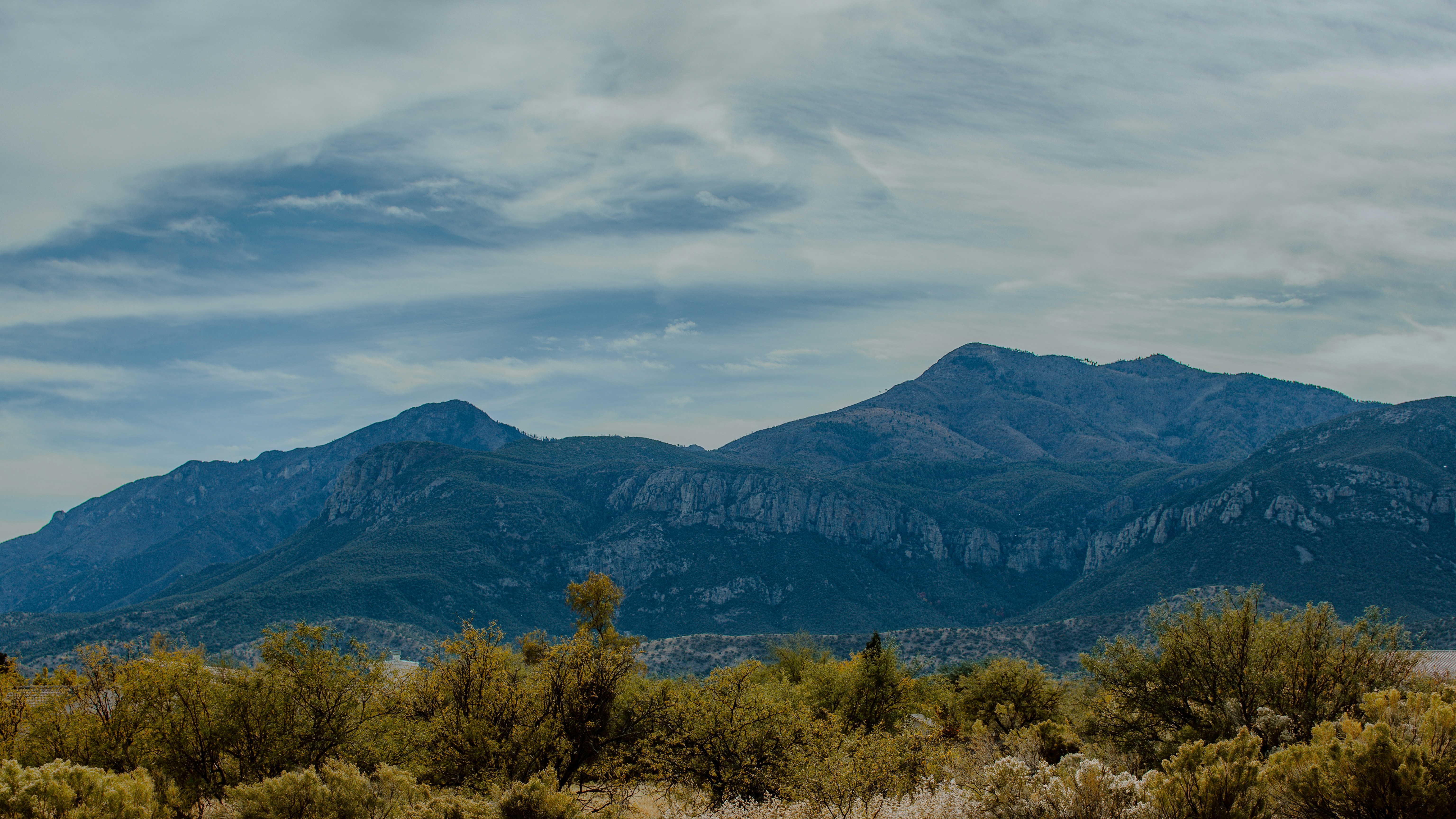 Photo by joseph_royer