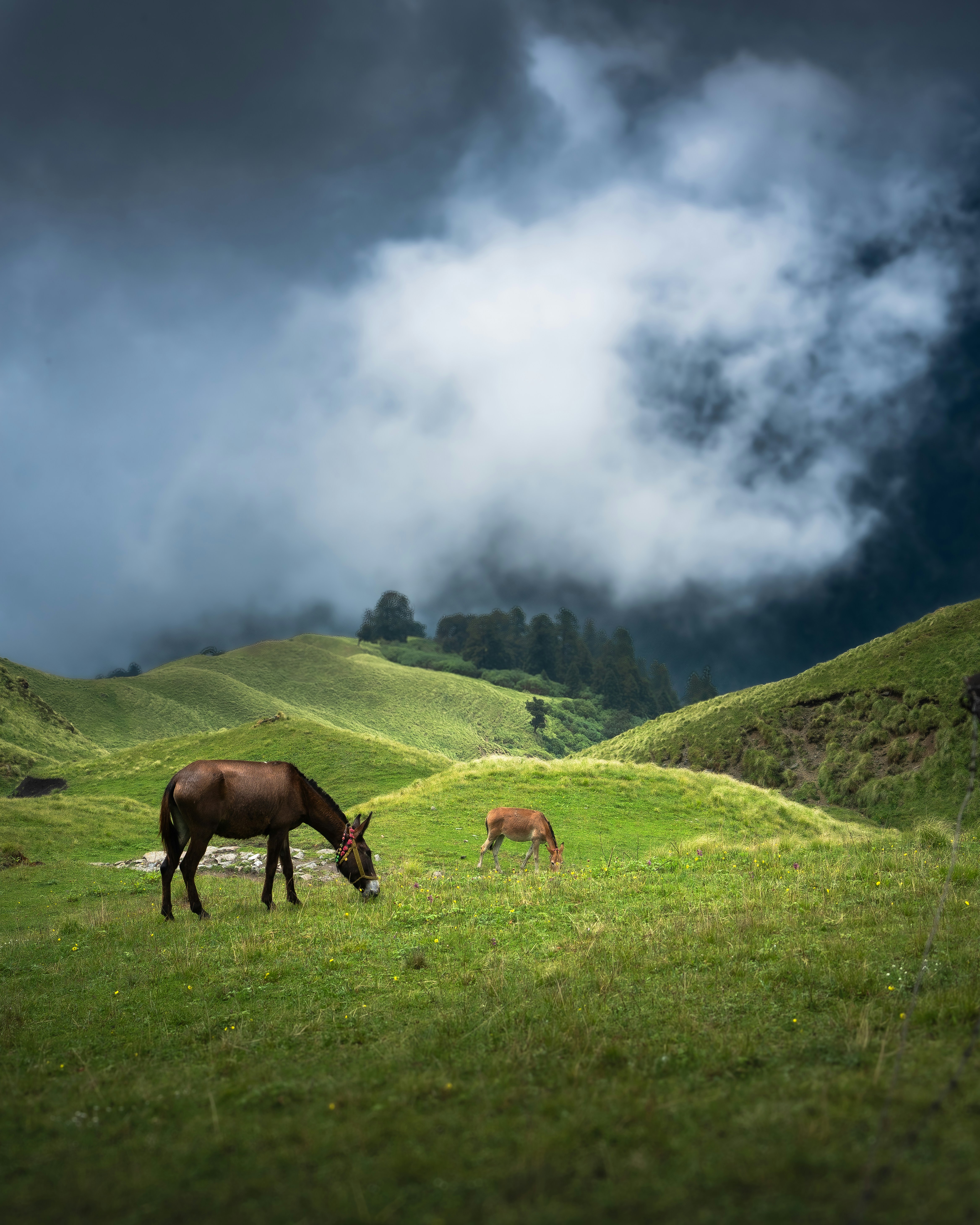 Photo by sagarkulkarni