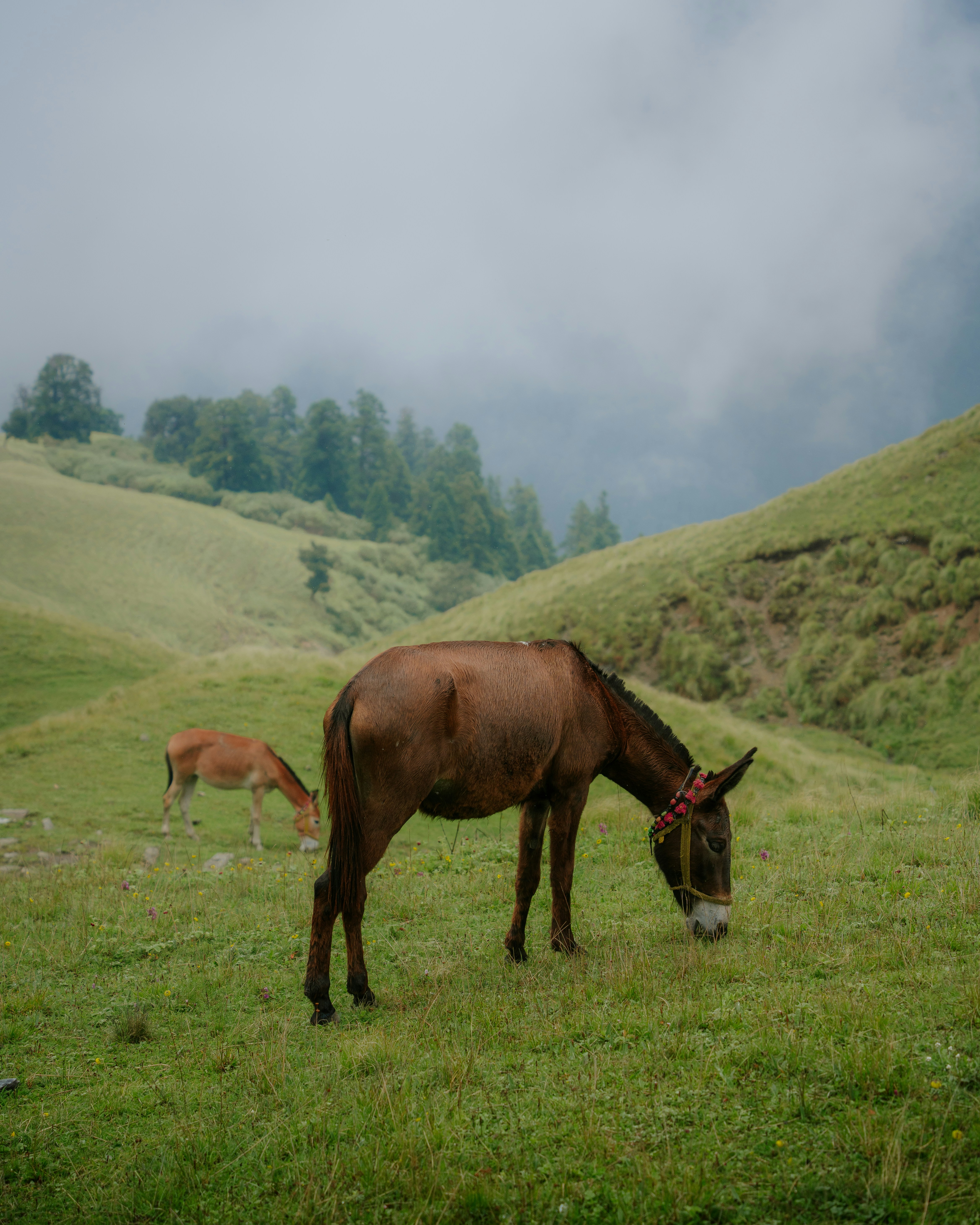 Photo by sagarkulkarni