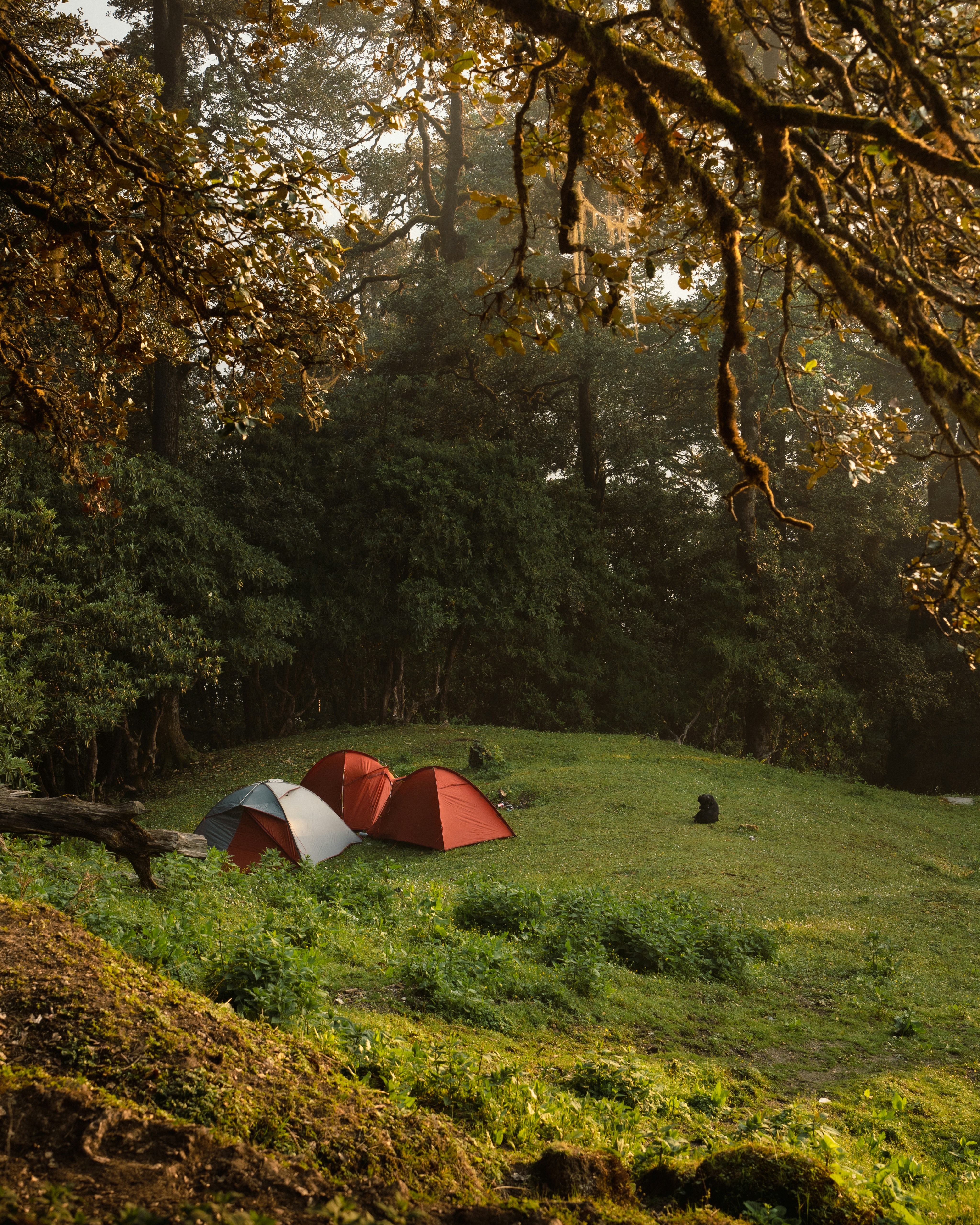 Photo by sagarkulkarni