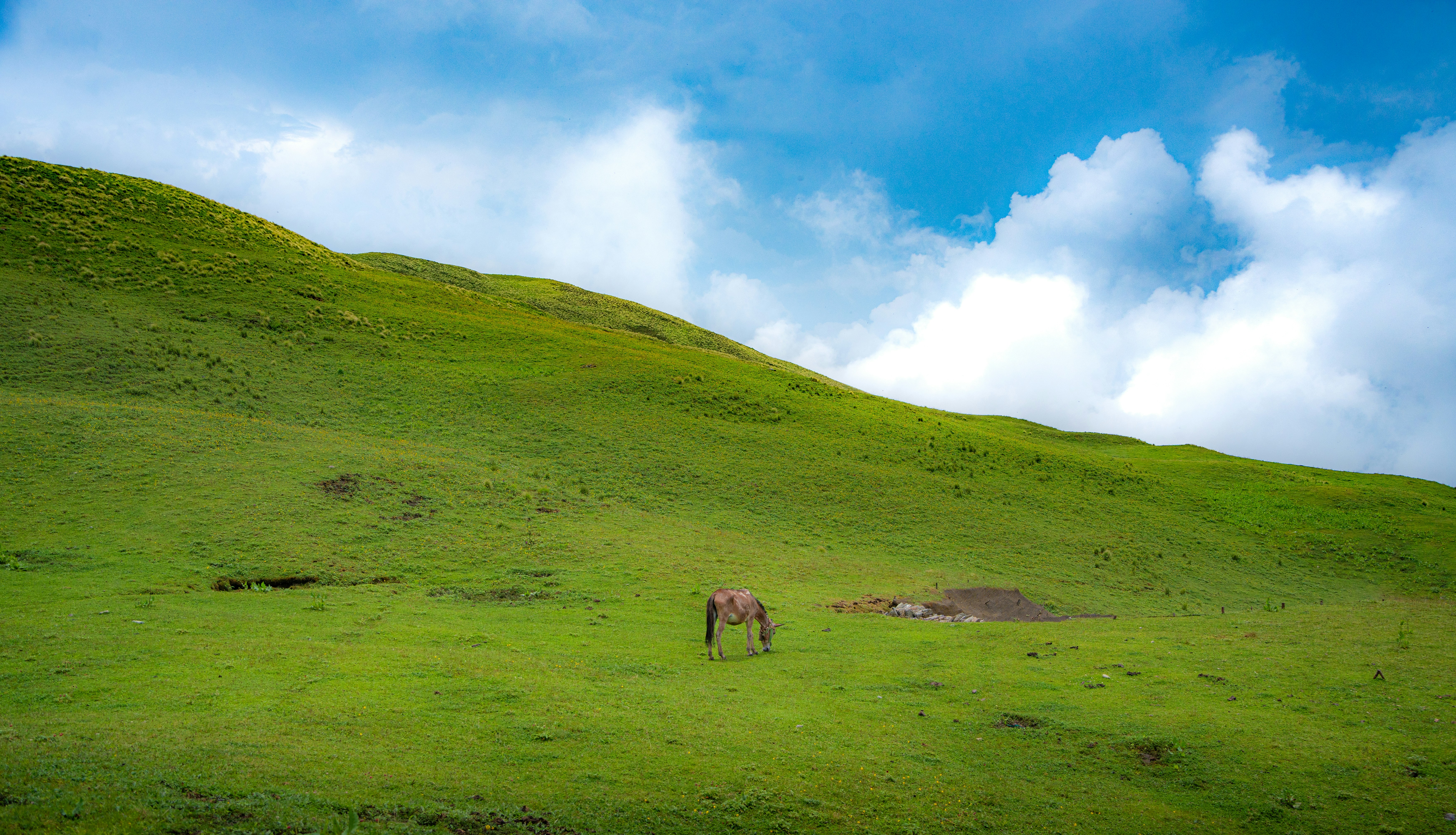 Photo by sagarkulkarni