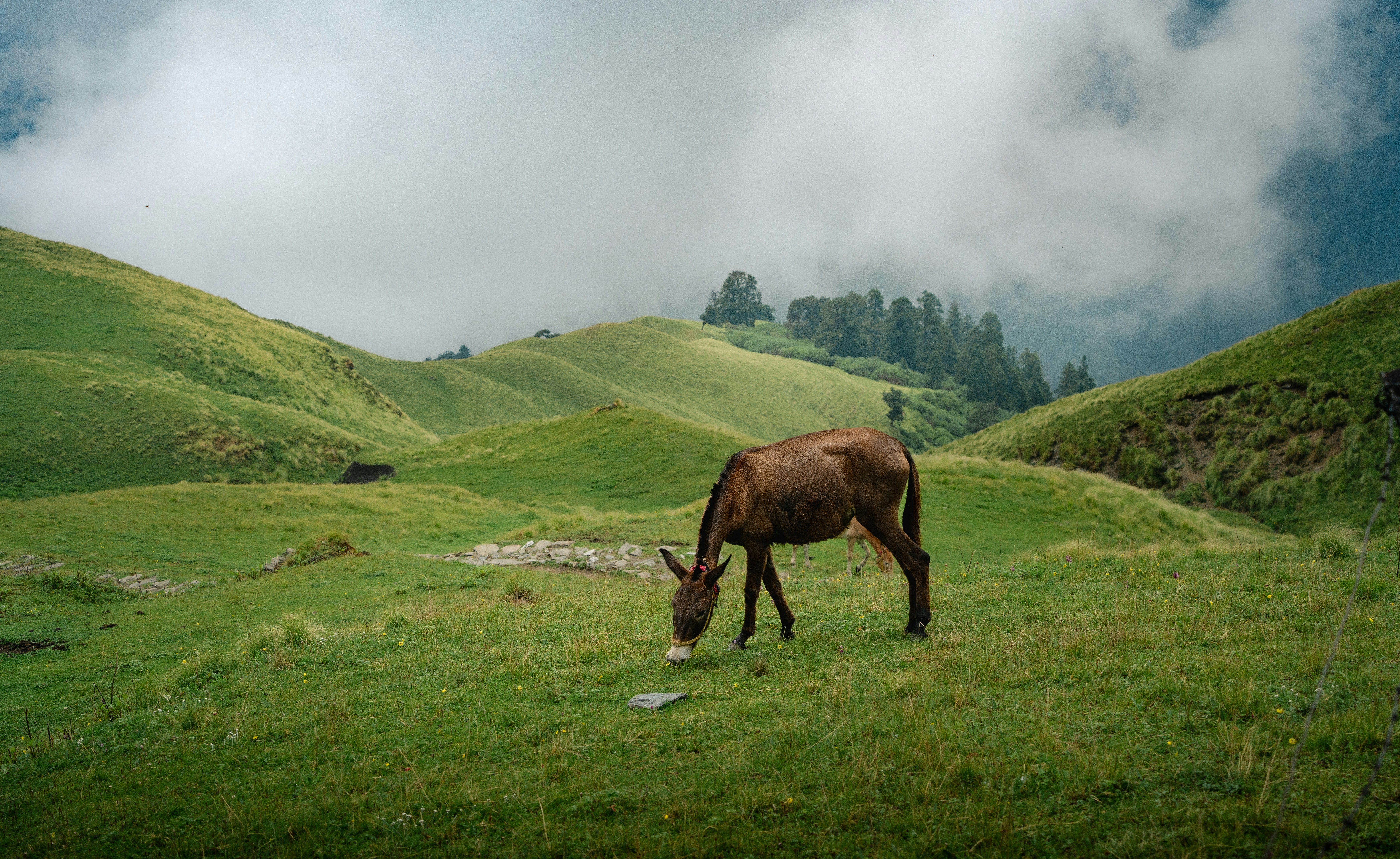 Photo by sagarkulkarni