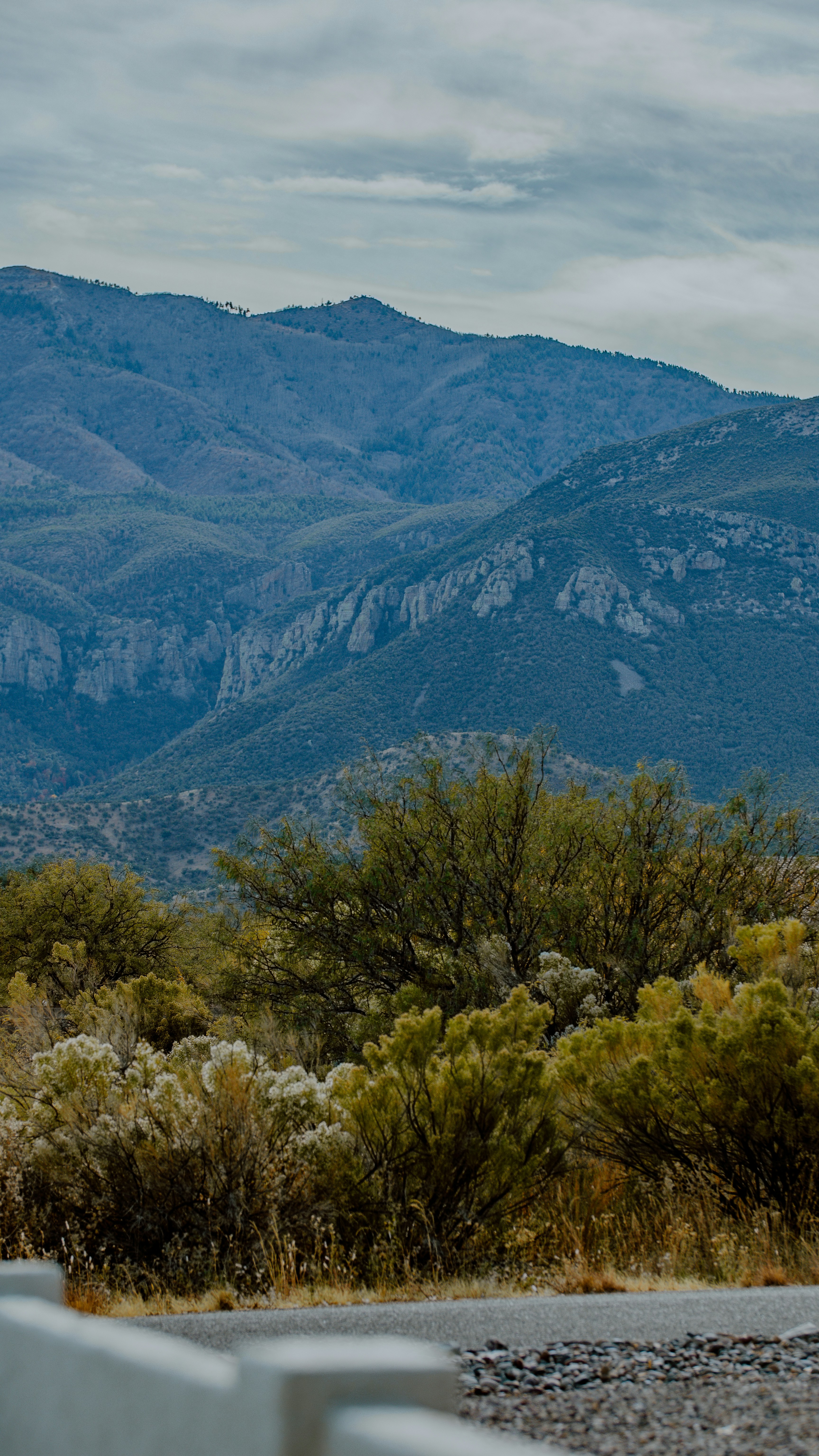 Photo by joseph_royer