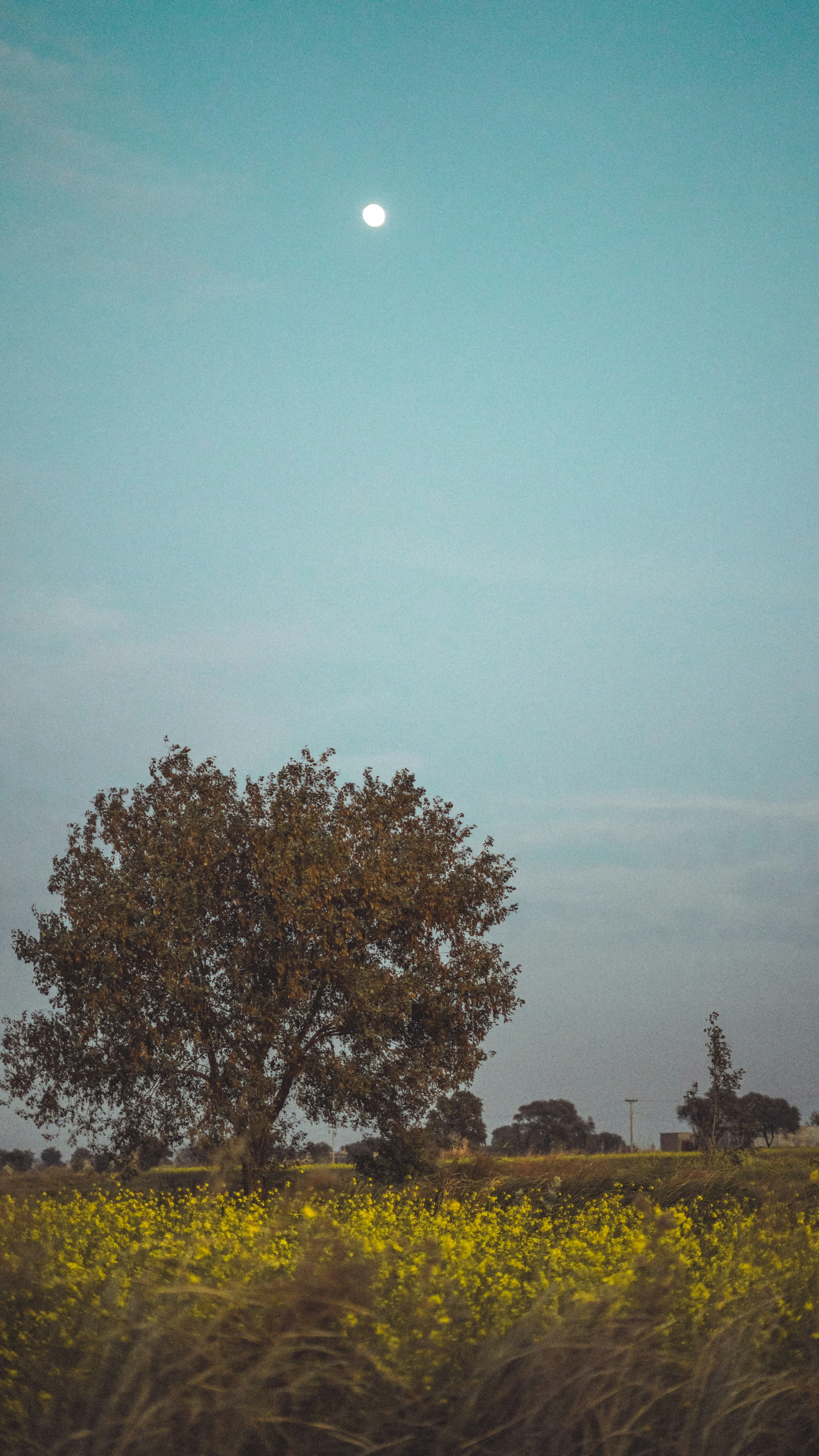 photo-1734385483339-d6e44da22838?ixid=M3wxMjA3fDB8MXxzZWFyY2h8N3x8bTk4JTIwYmV0fGVufDB8fHx8MTc1ODc3NTE2N3ww\u0026ixlib=rb-4.1.0