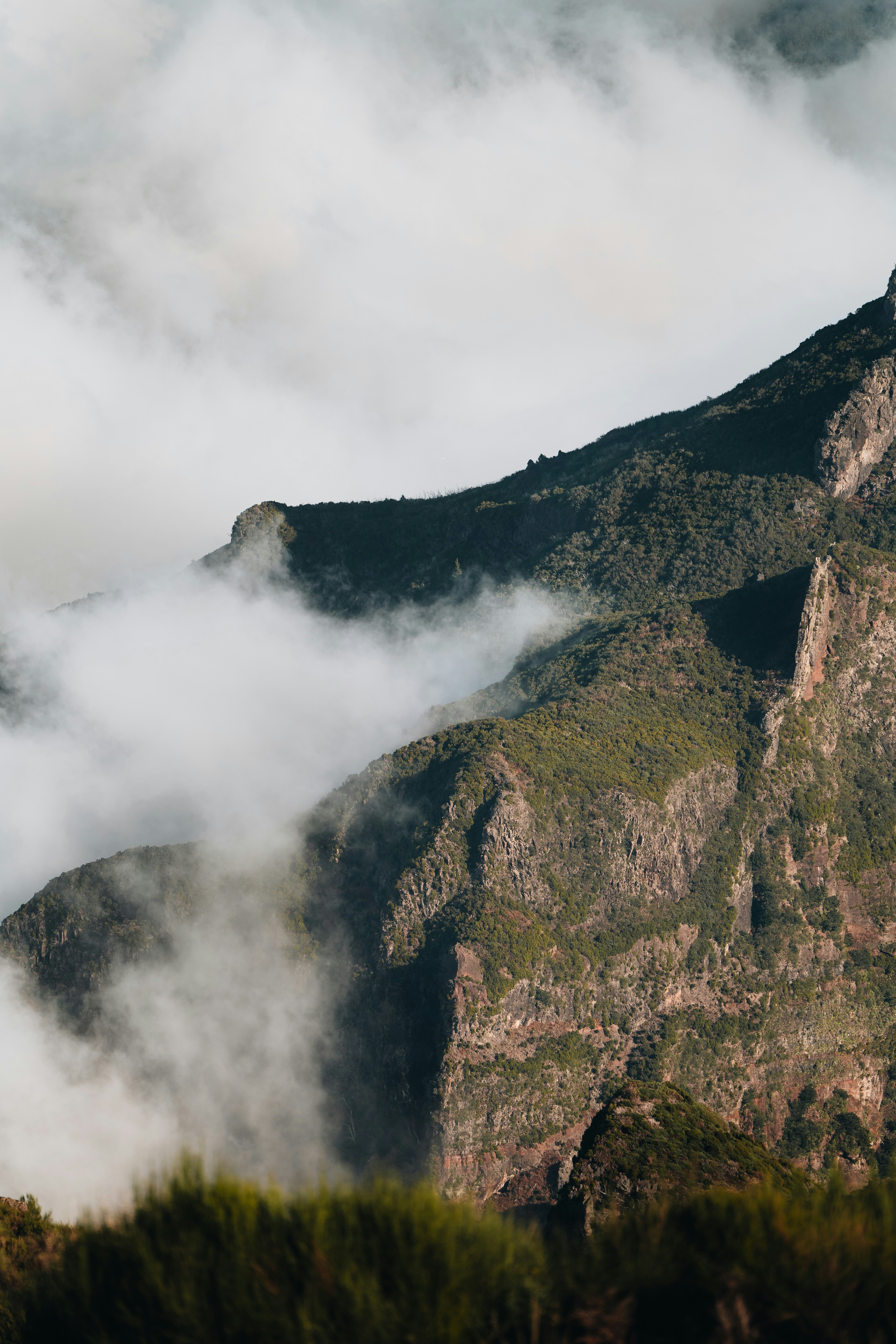 Photo by kevin_charit