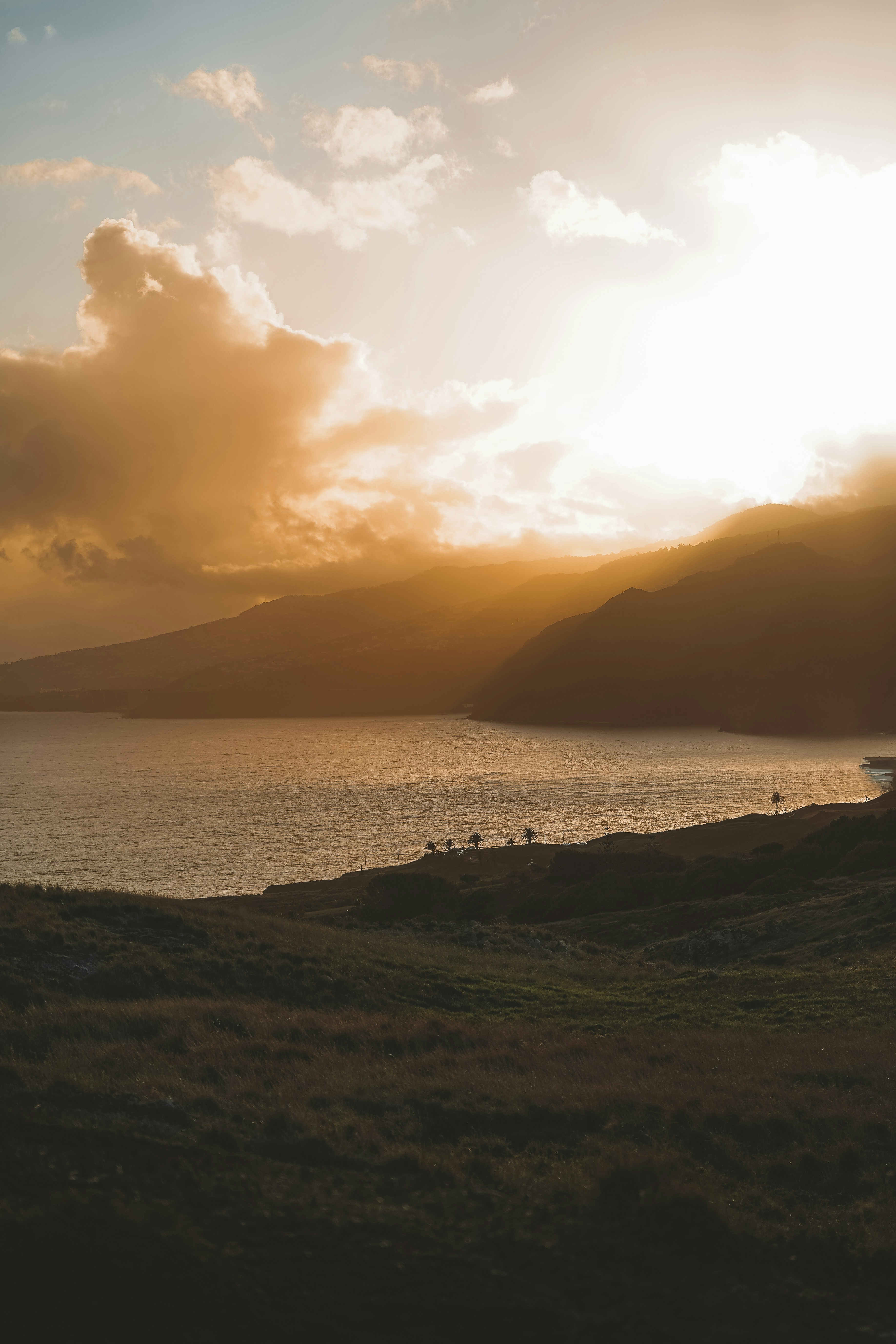 Photo by kevin_charit