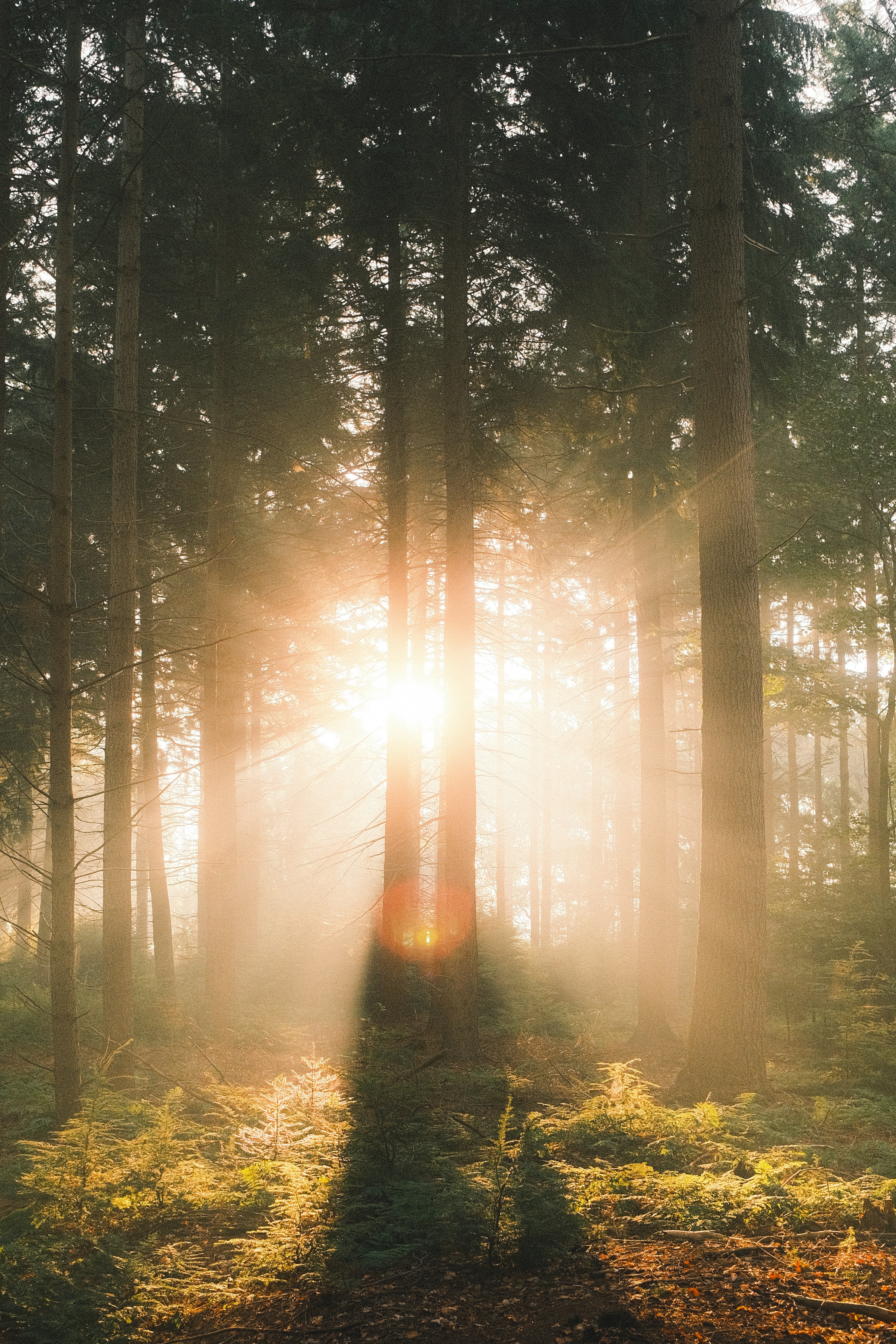 Photo by visualsbying