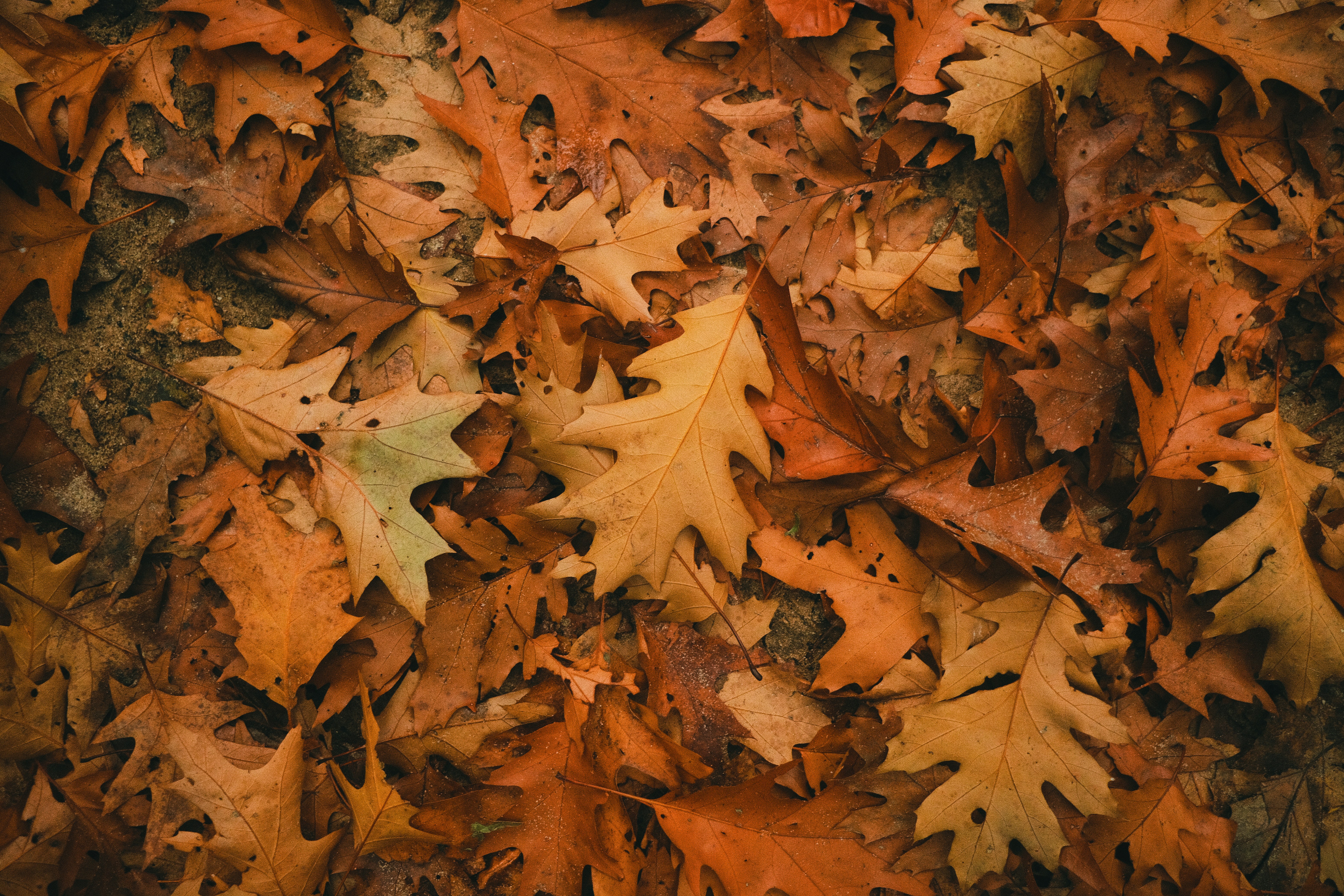 Photo by visualsbying