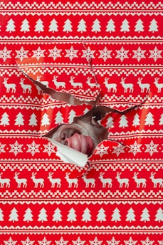 Dog peeking through wrapping paper