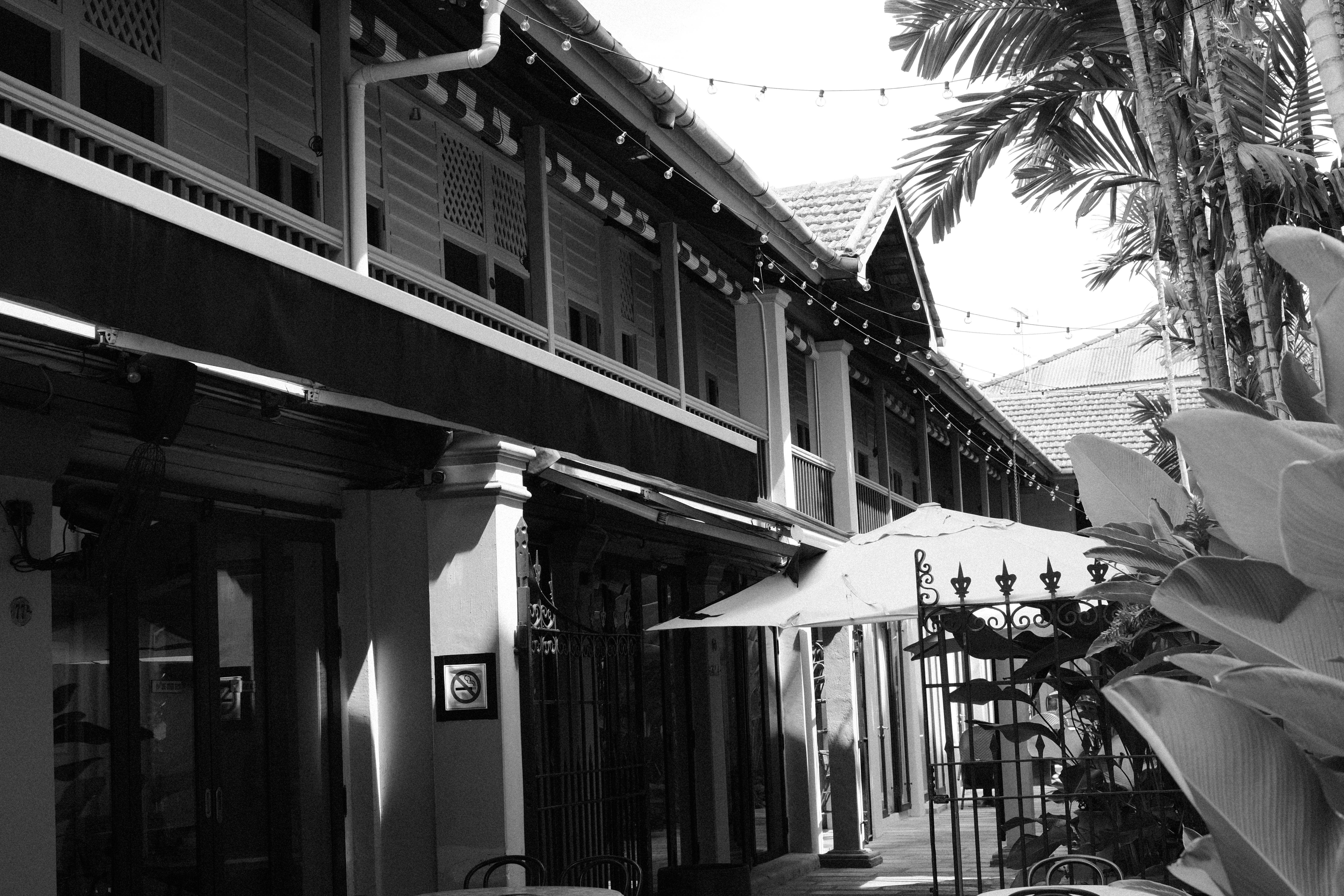 A black and white photo of a building with palm trees