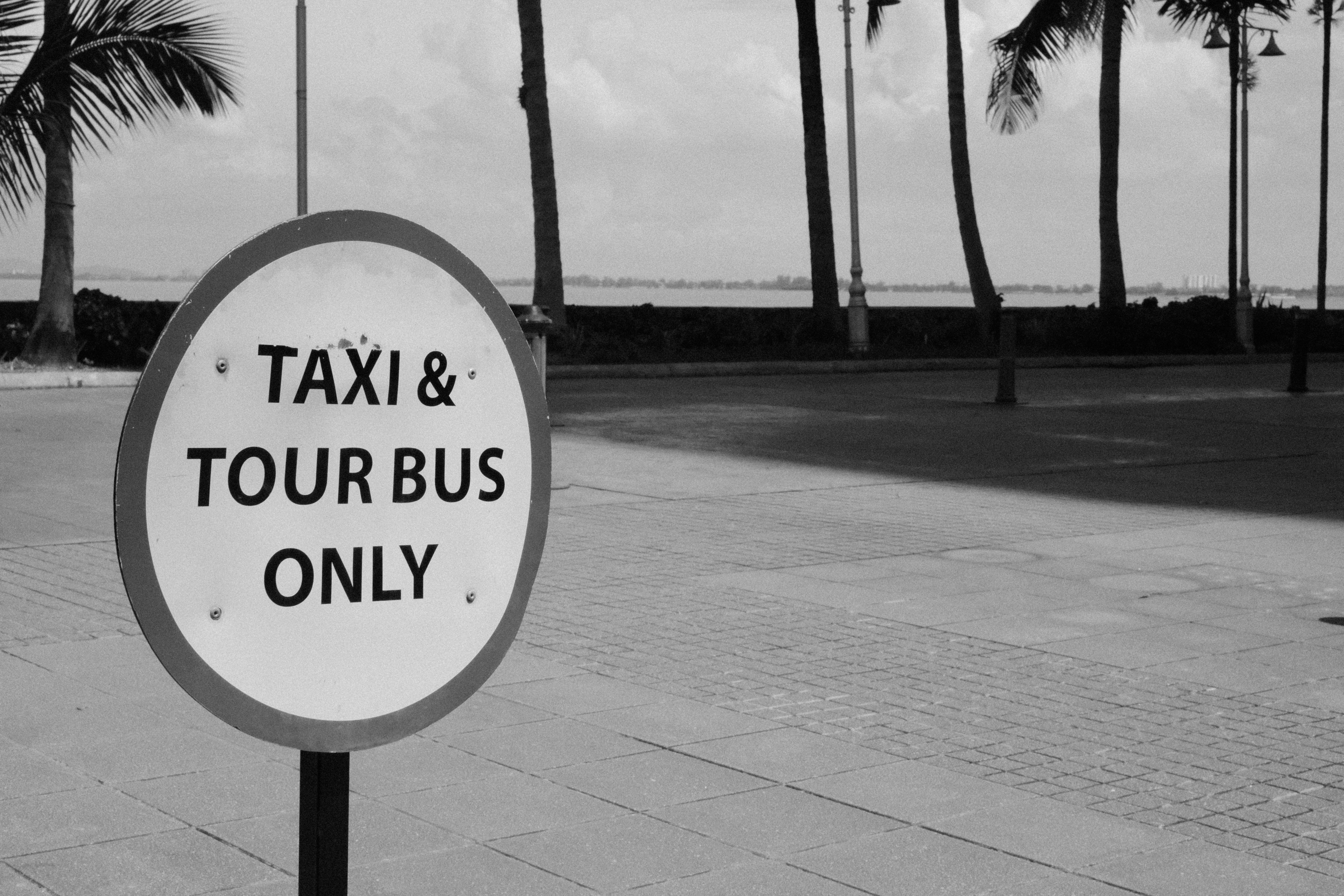 A black and white photo of a taxi and tour bus only sign, 