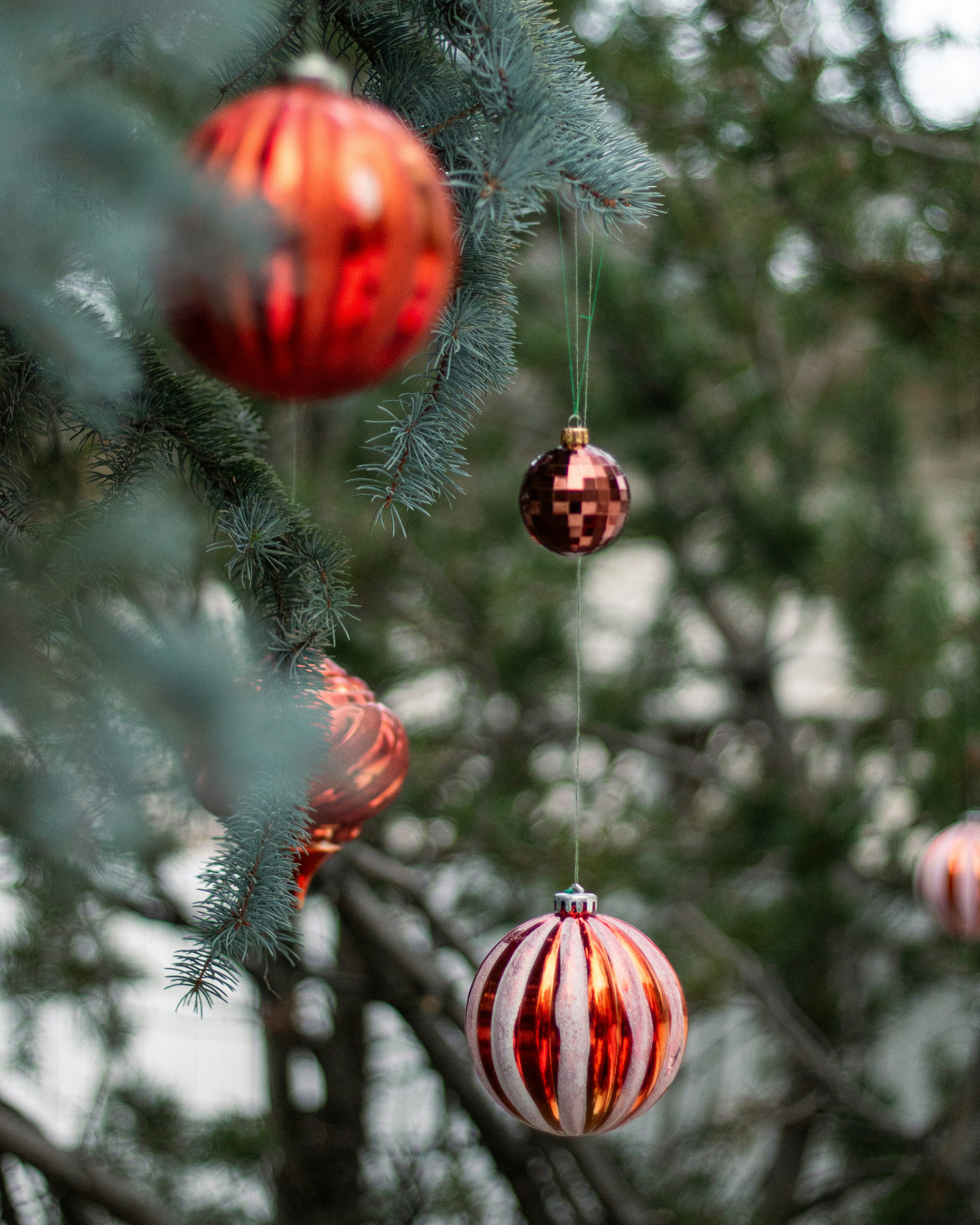 Photo by popcornhead101