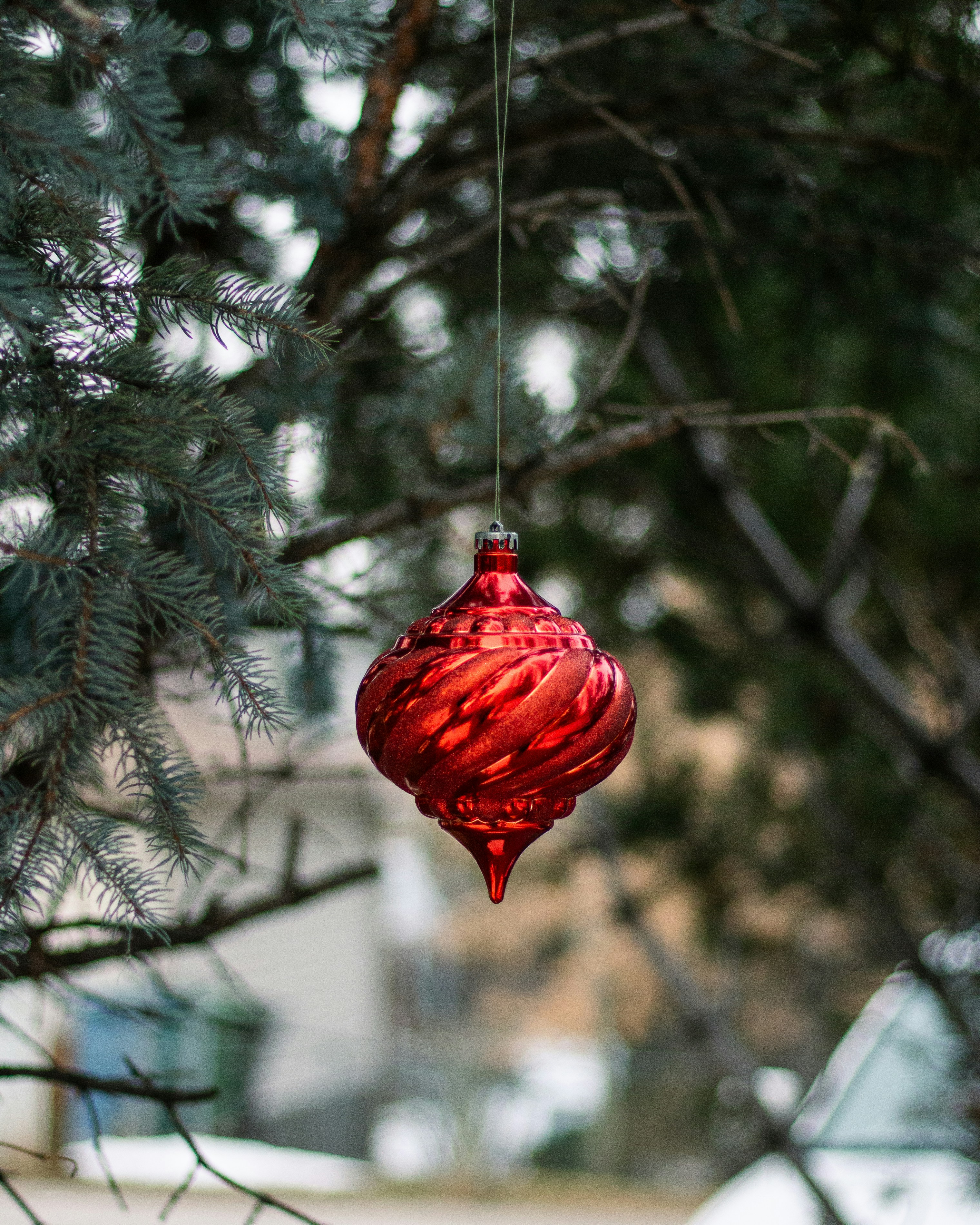 A red ornament hanging from a tree