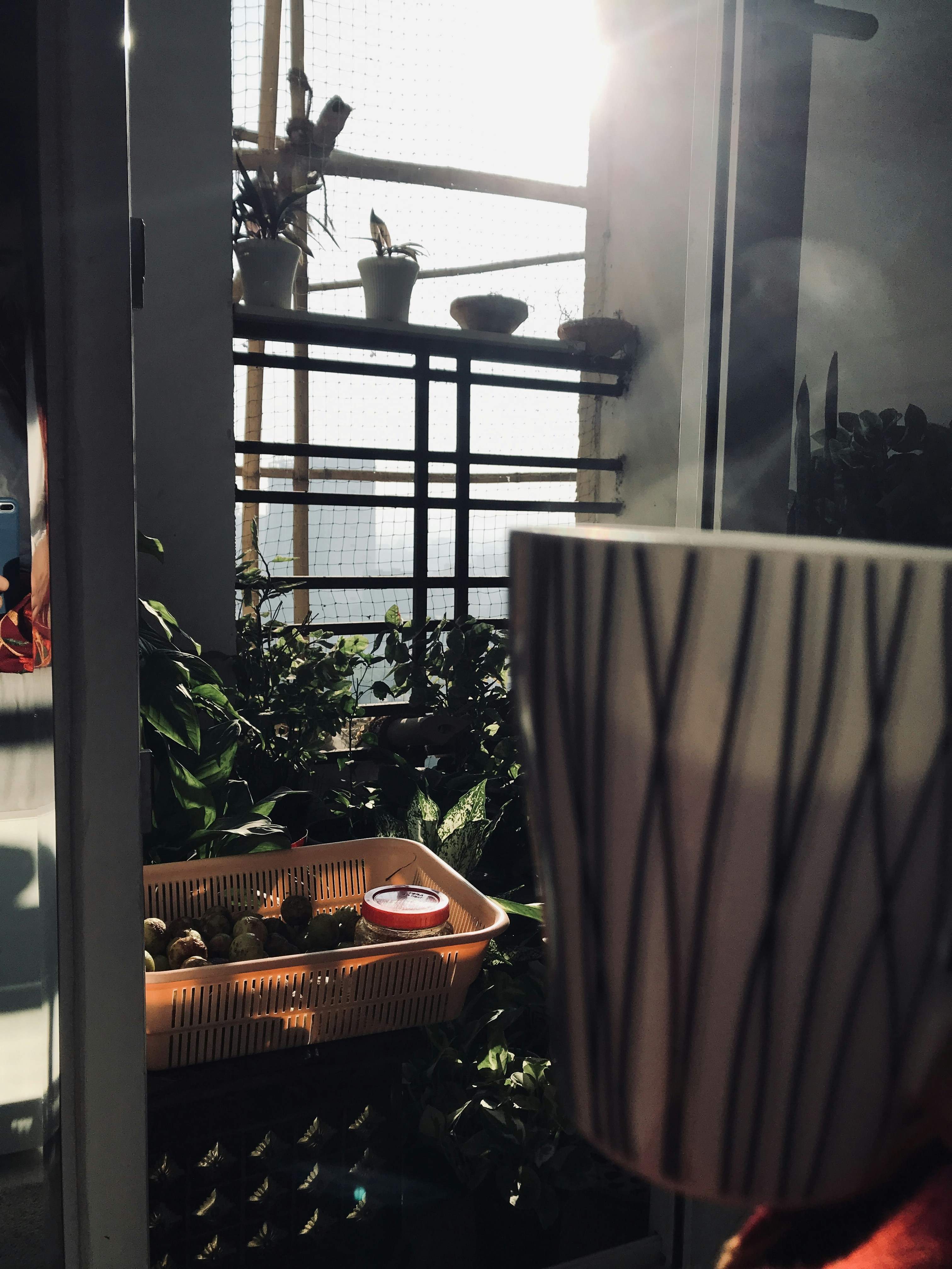 A coffee cup sitting on top of a table next to a potted plant