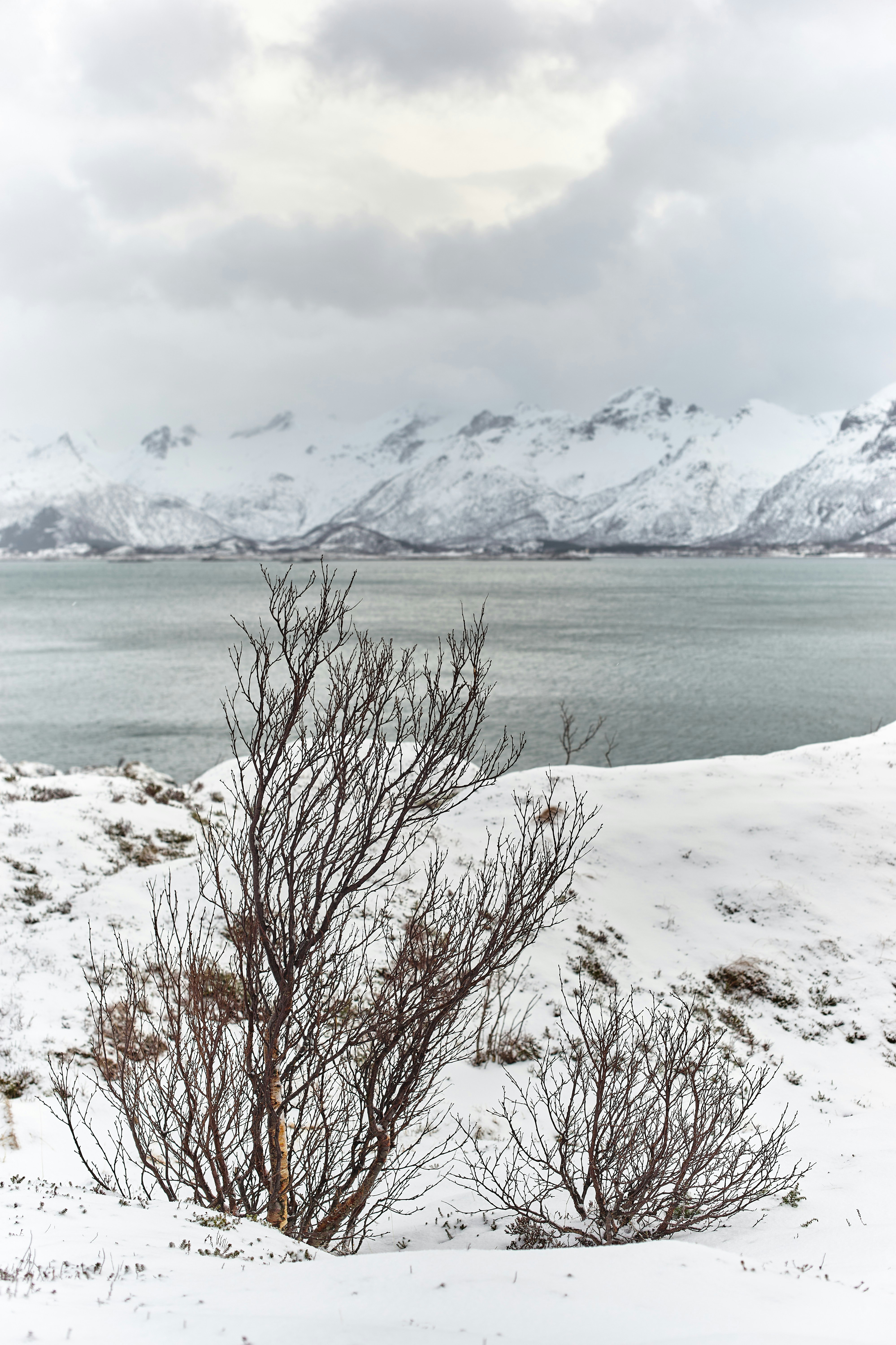 Photo by wolfgang_hasselmann