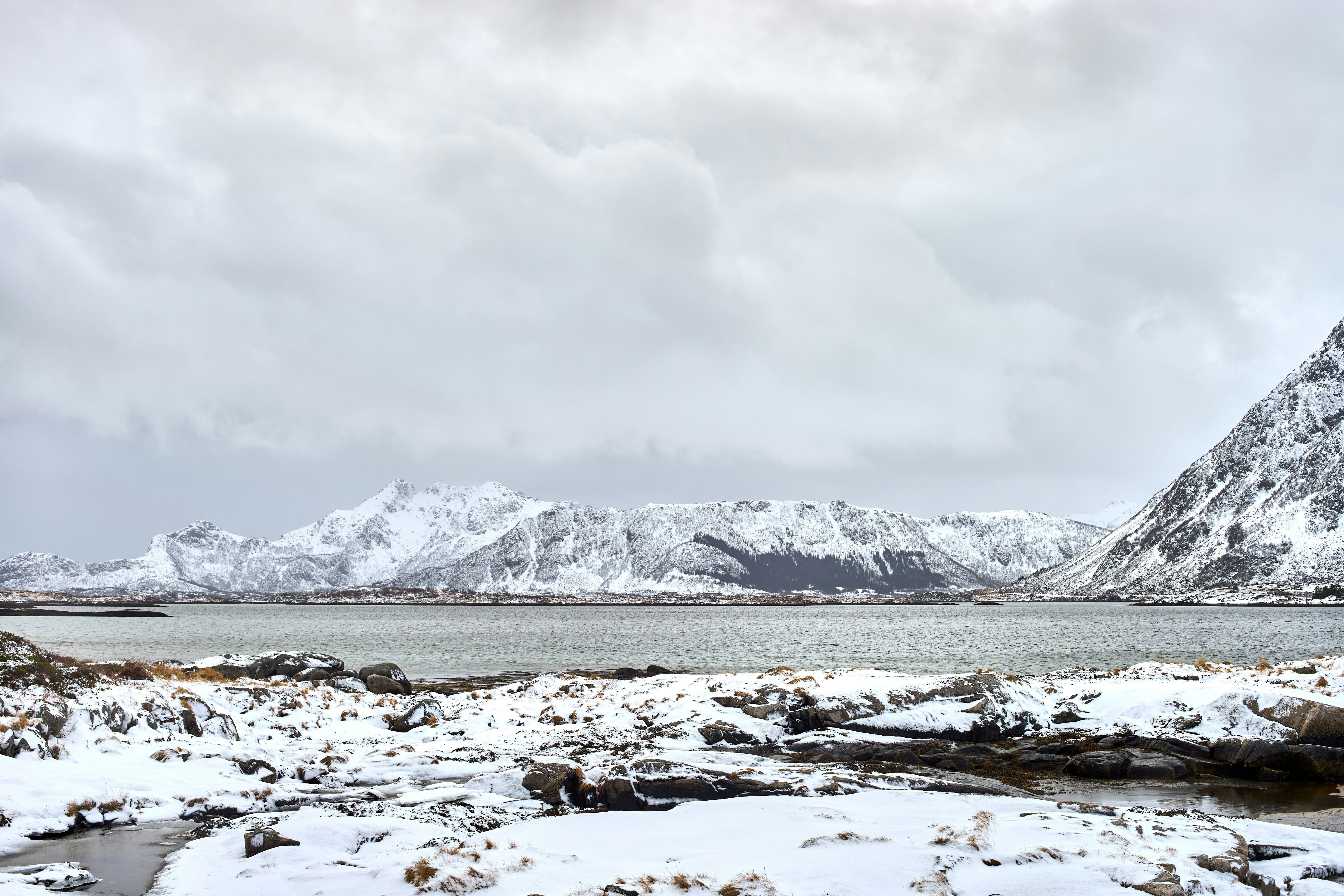 Photo by wolfgang_hasselmann