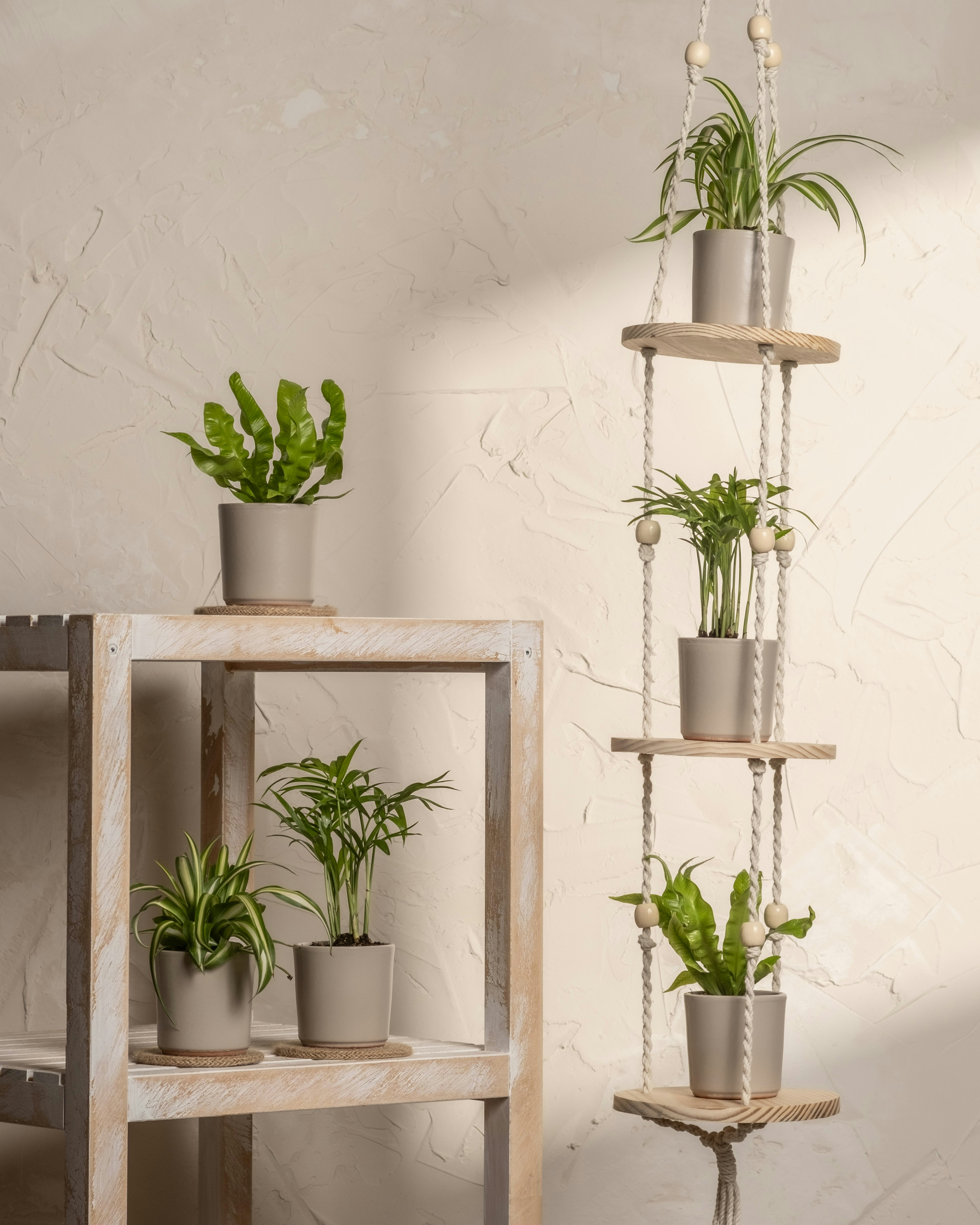 Photo by feeypflanzen