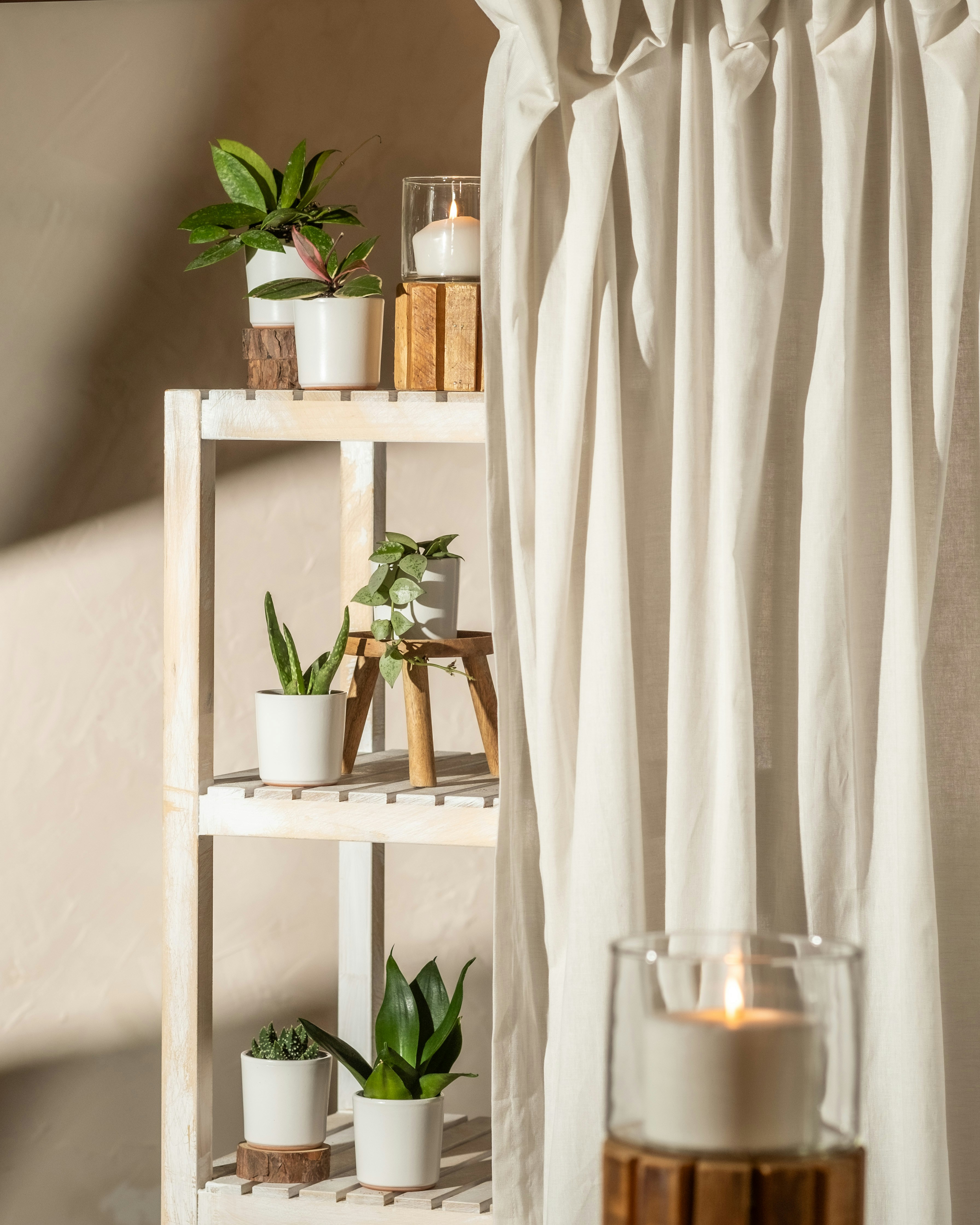 Photo by feeypflanzen