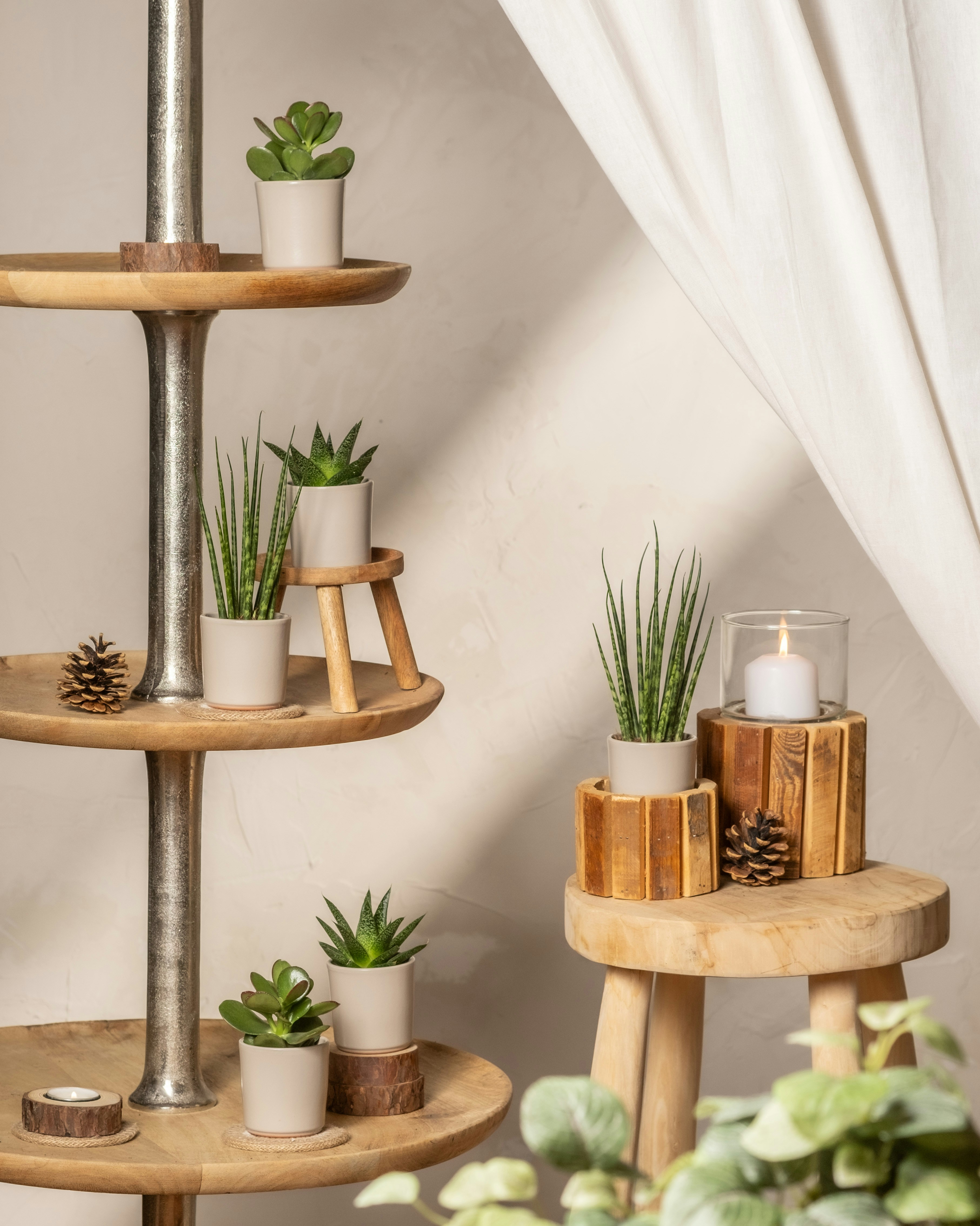 Photo by feeypflanzen