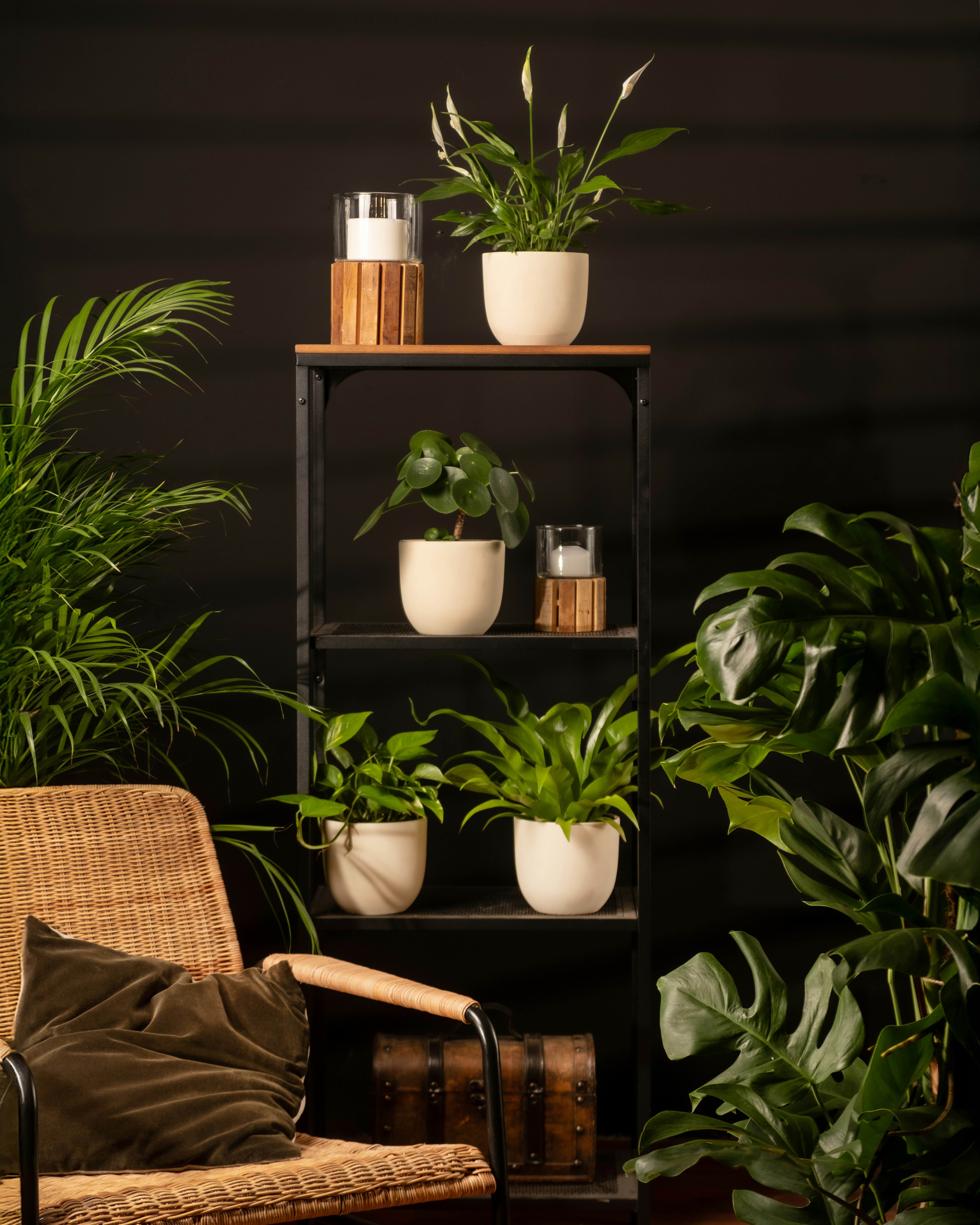 Photo by feeypflanzen